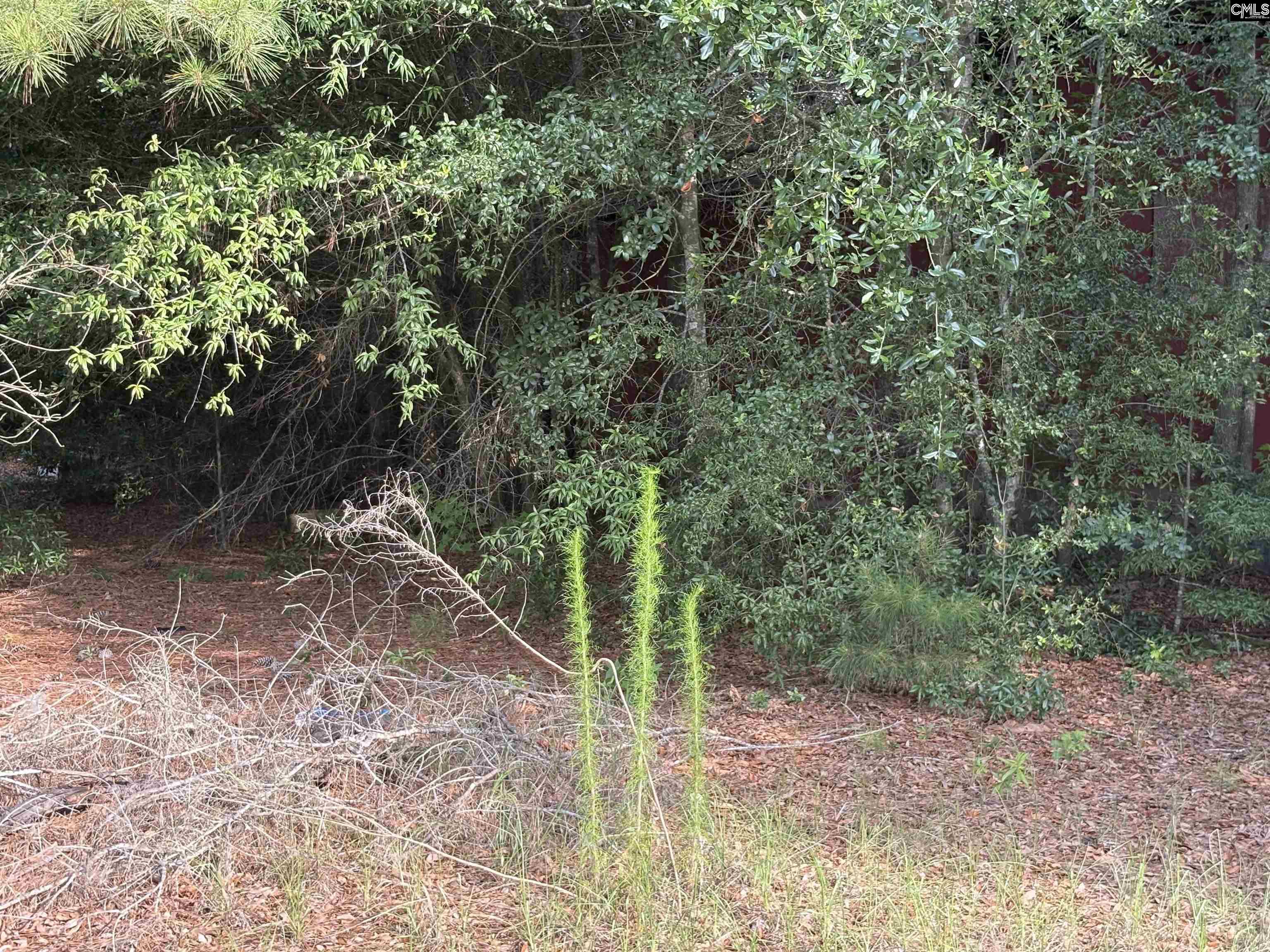 545 Flinns Road Hartsville, SC 29550