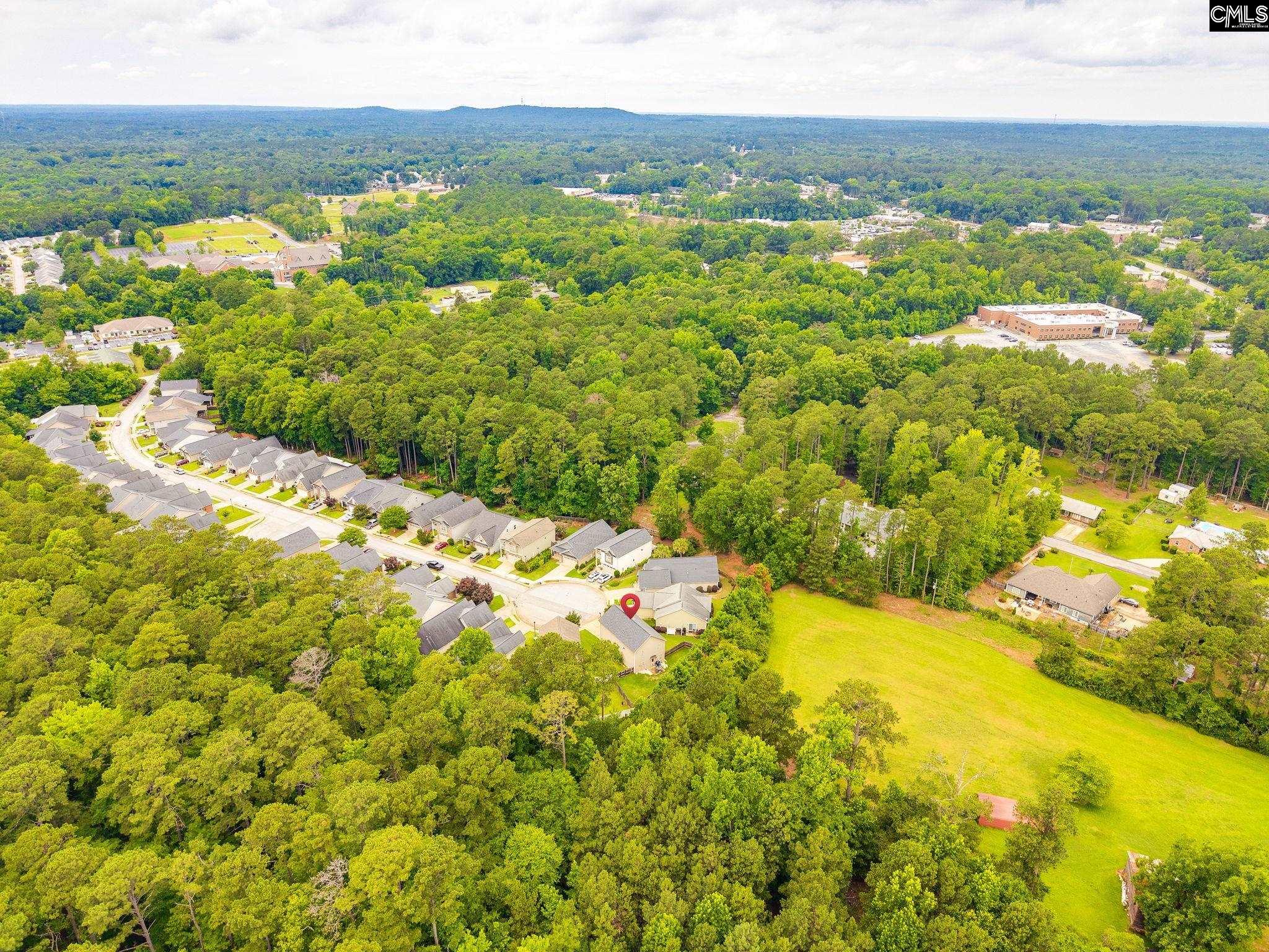 54 Revelstone Way Chapin, SC 29036-7101