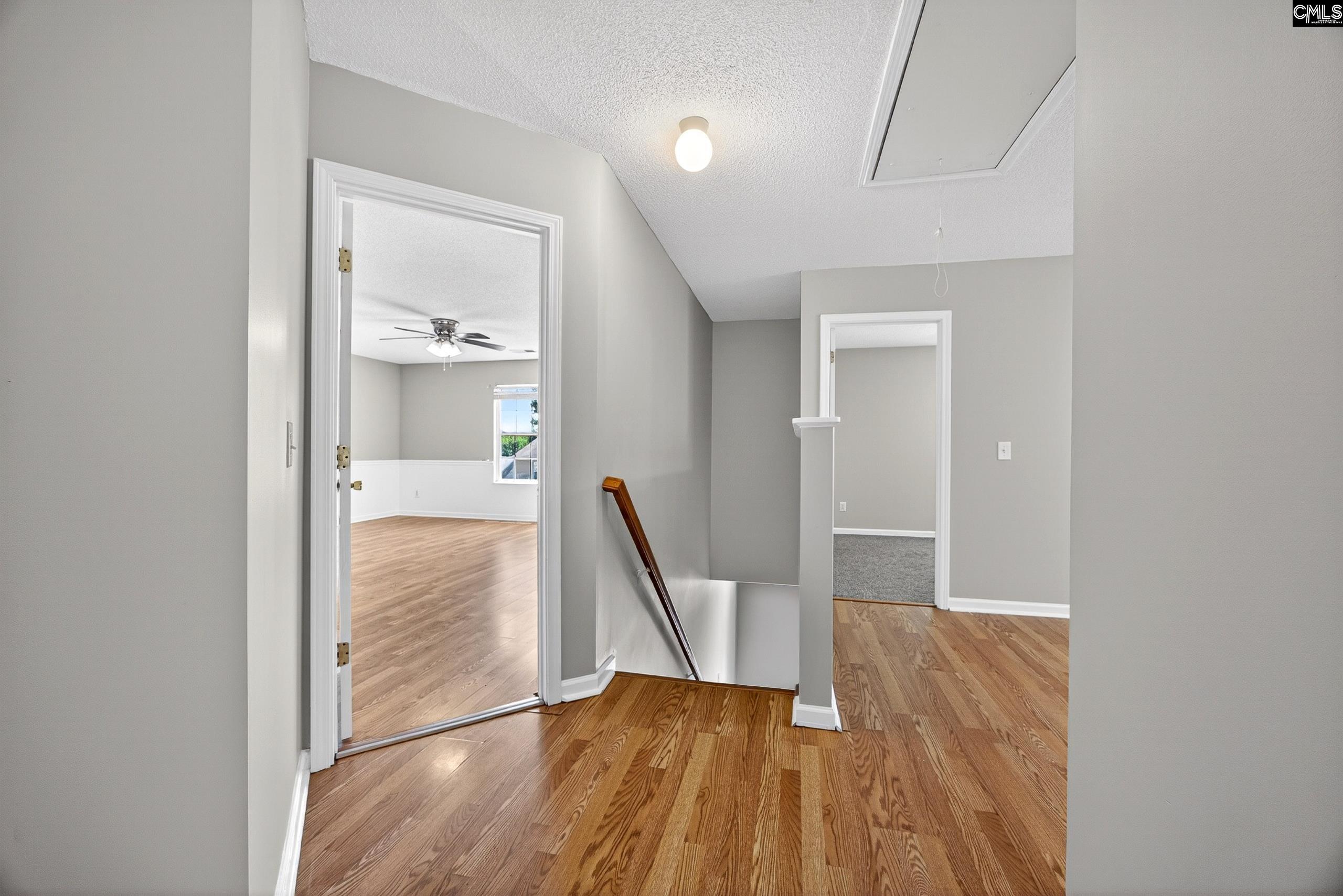 224 Walkbridge Way Chapin, SC 29036