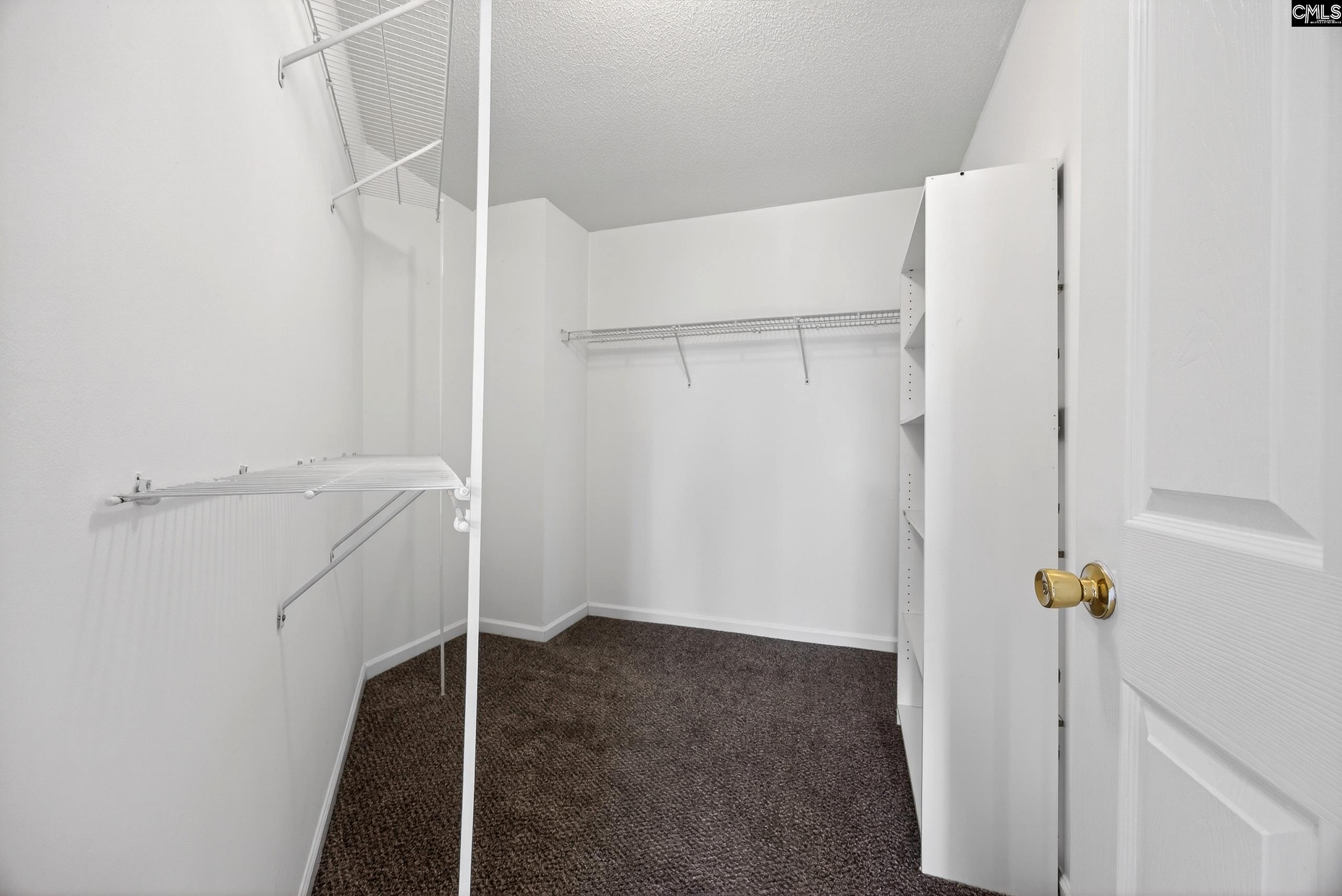 224 Walkbridge Way Chapin, SC 29036