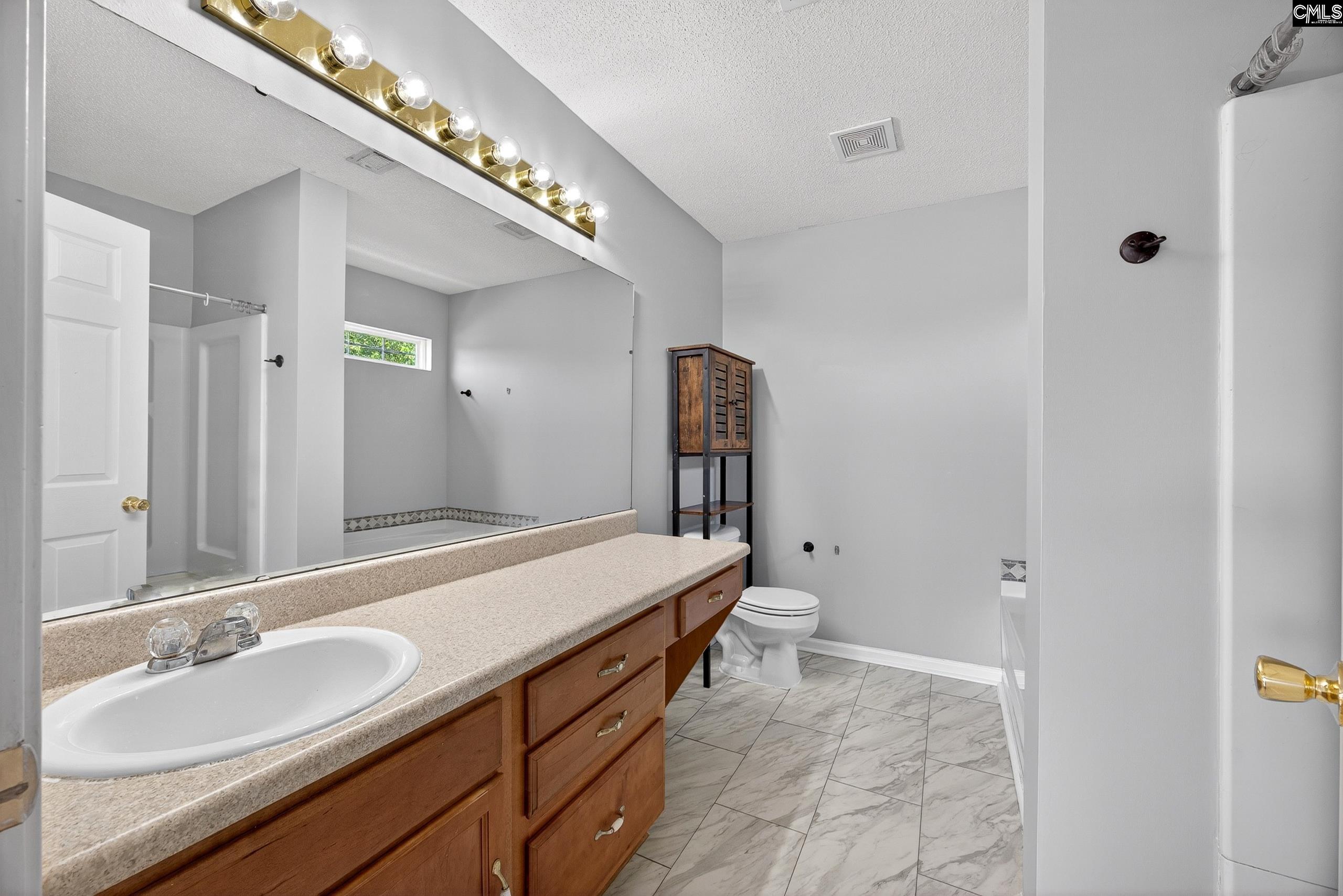 224 Walkbridge Way Chapin, SC 29036