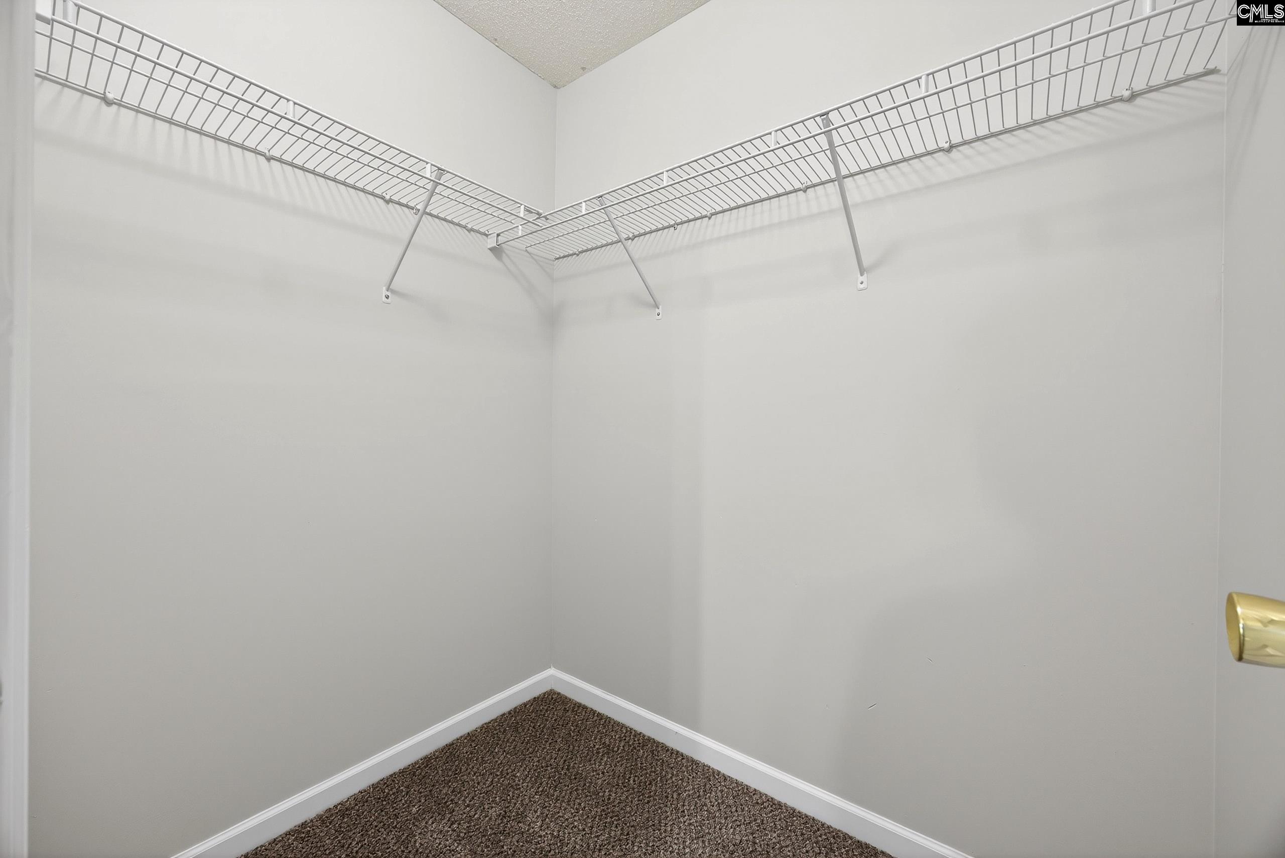 224 Walkbridge Way Chapin, SC 29036