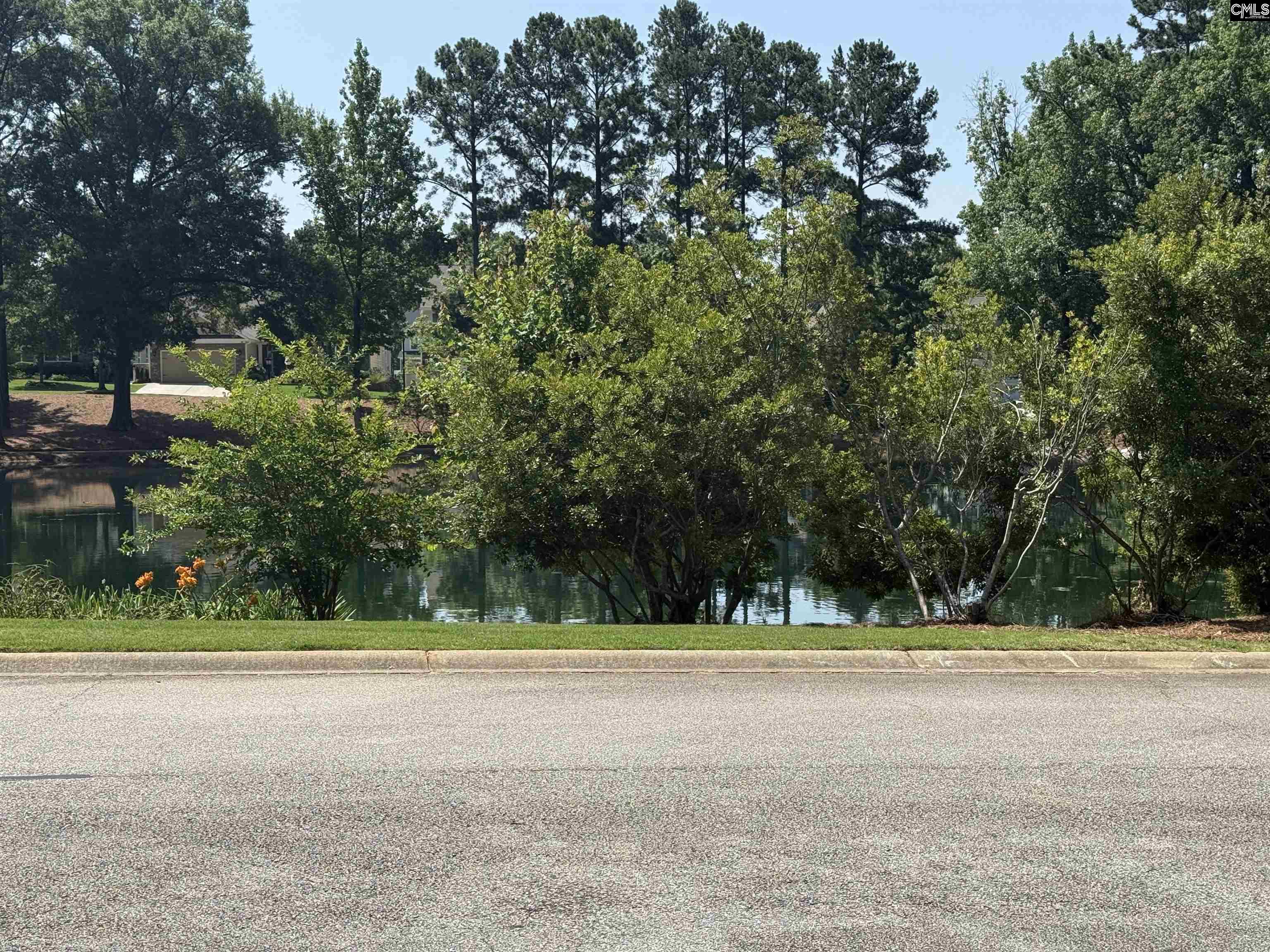 609 Dew Pond Road Blythewood, SC 29016