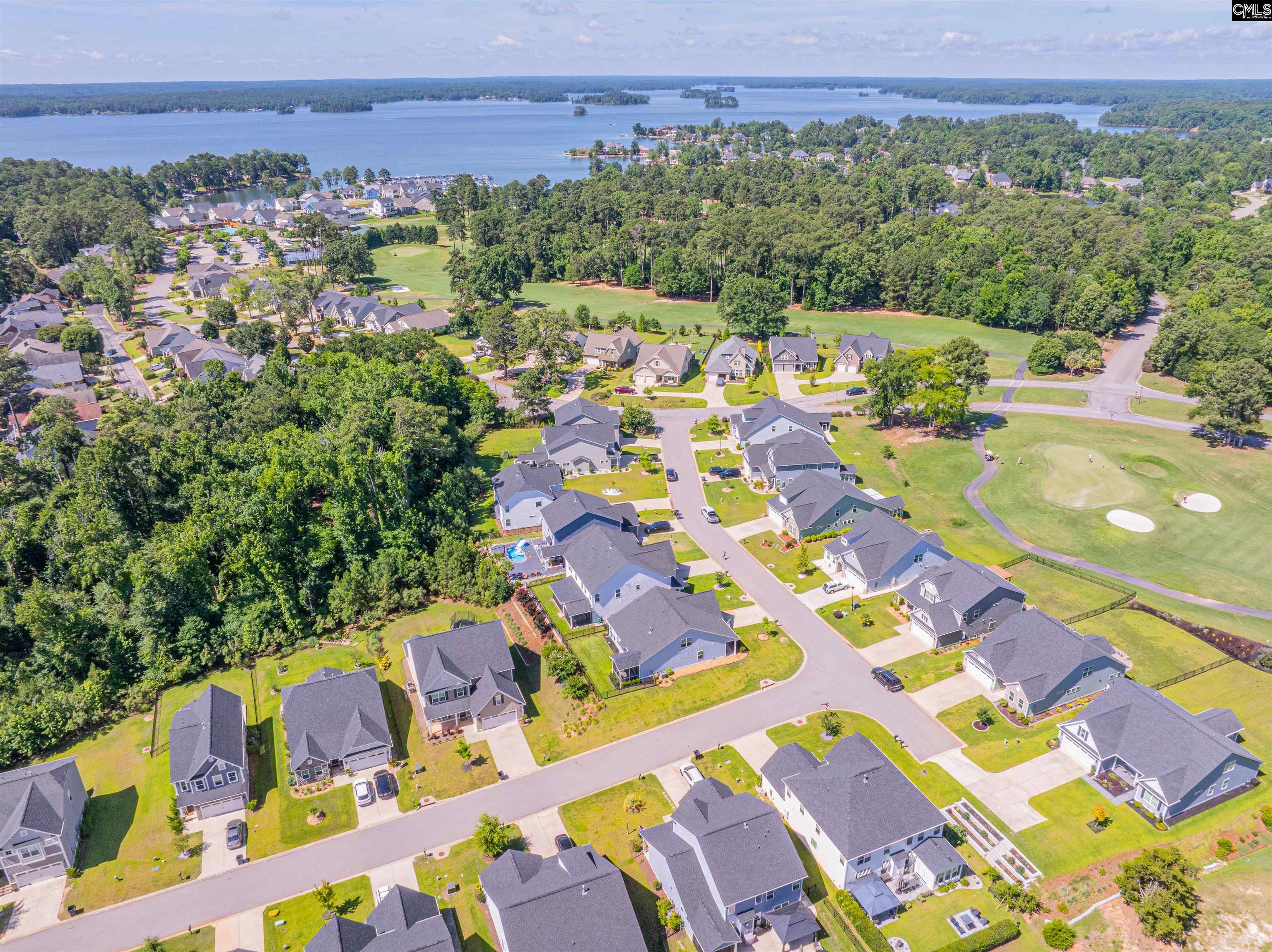320 Brenthaven Drive Chapin, SC 29036