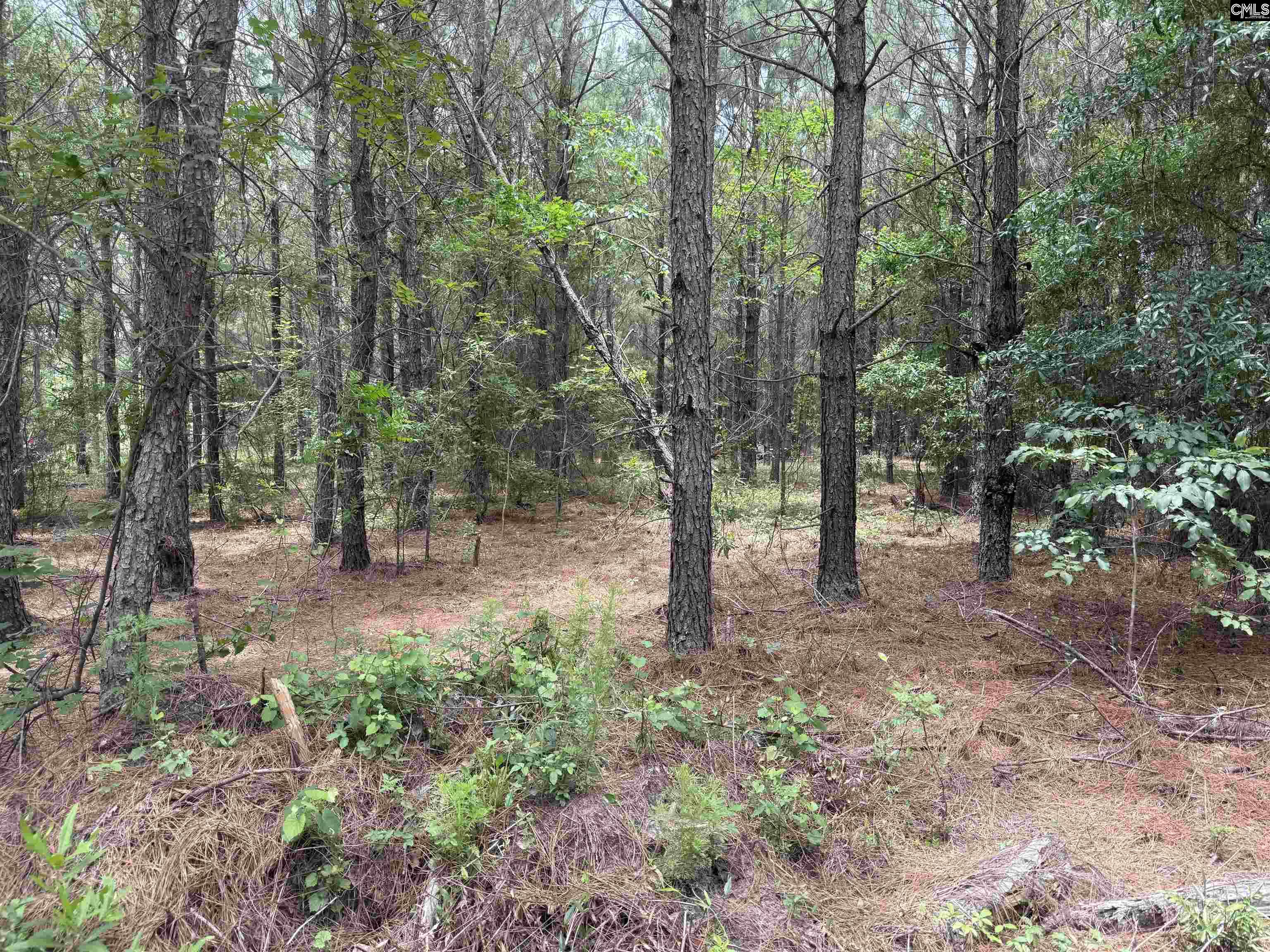 00 Seivern Road UNIT 7-A Wagener, SC 29164
