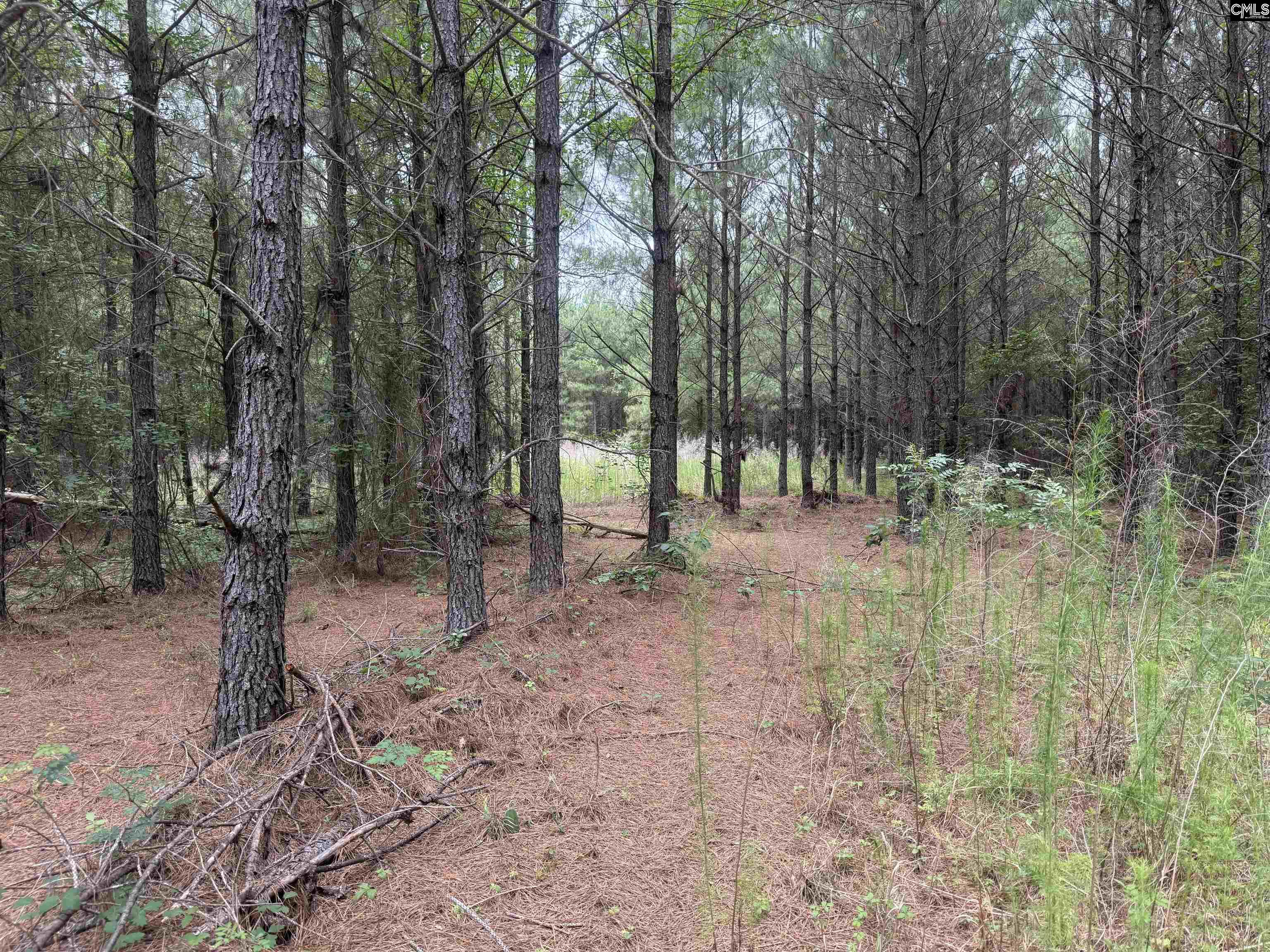 00 Seivern Road UNIT 7-A Wagener, SC 29164