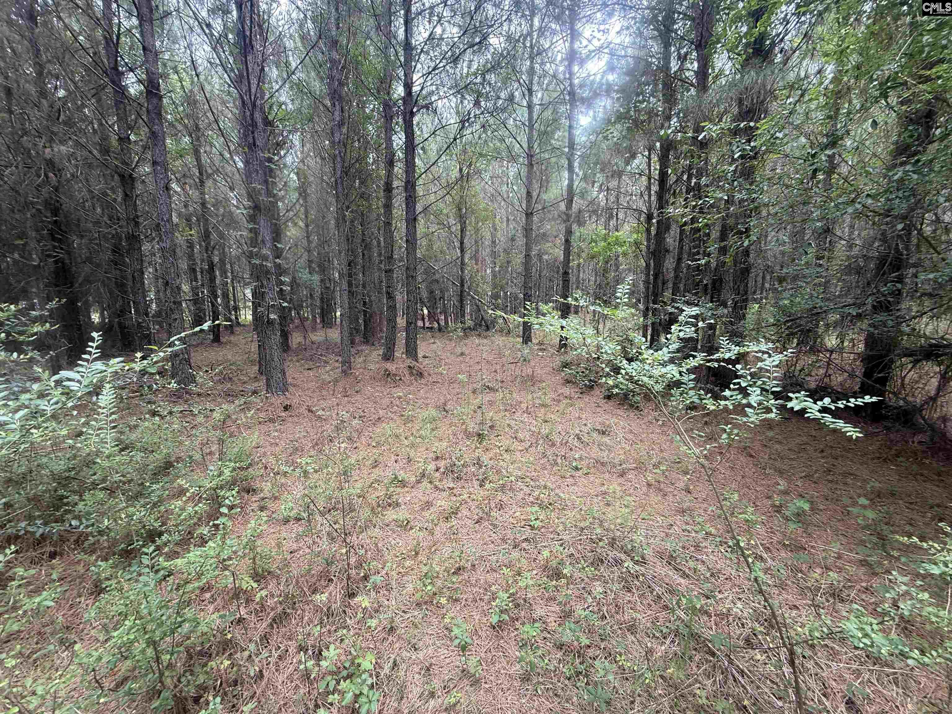 00 Seivern Road UNIT 7-A Wagener, SC 29164