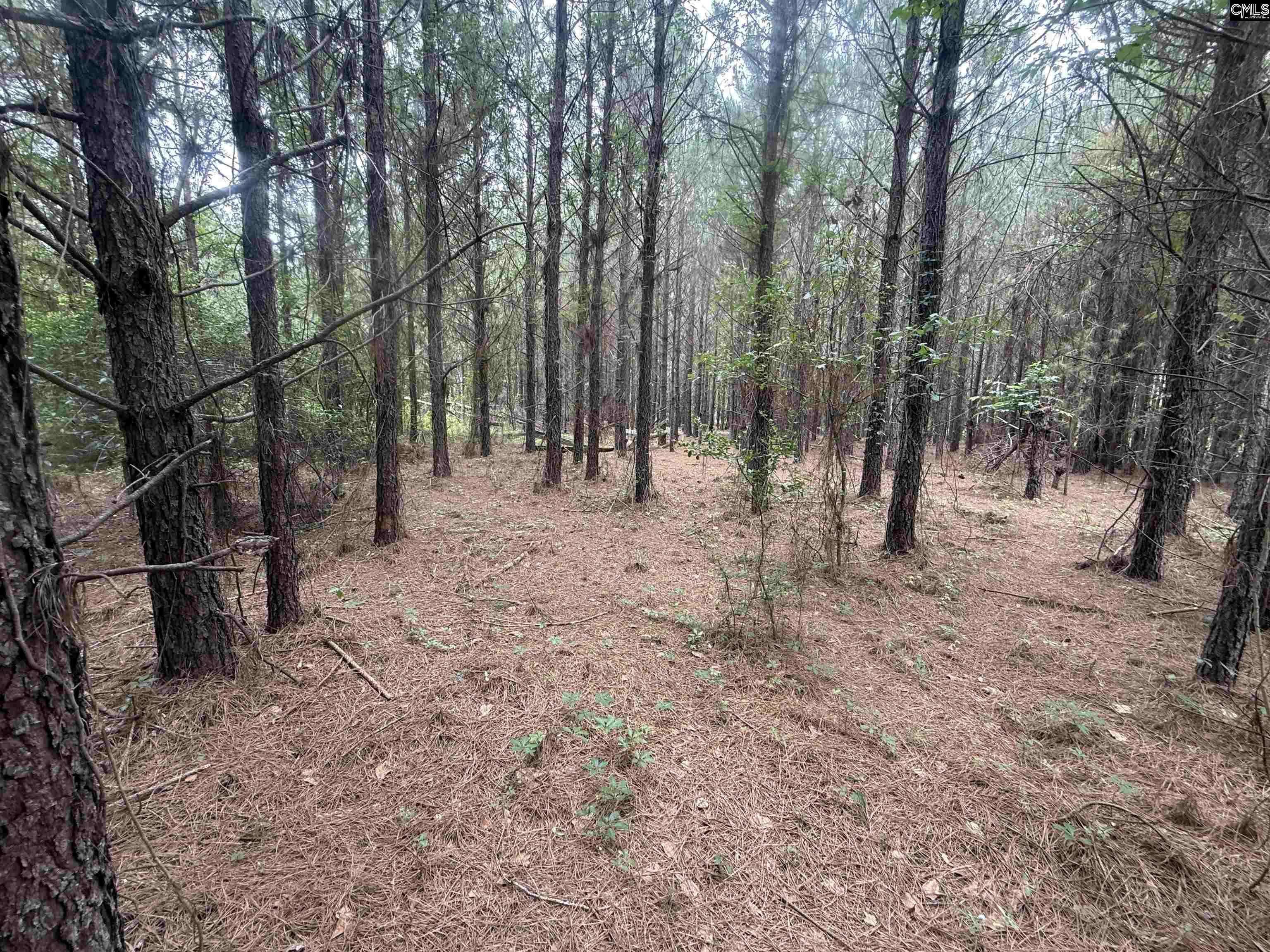 00 Seivern Road UNIT 7-A Wagener, SC 29164
