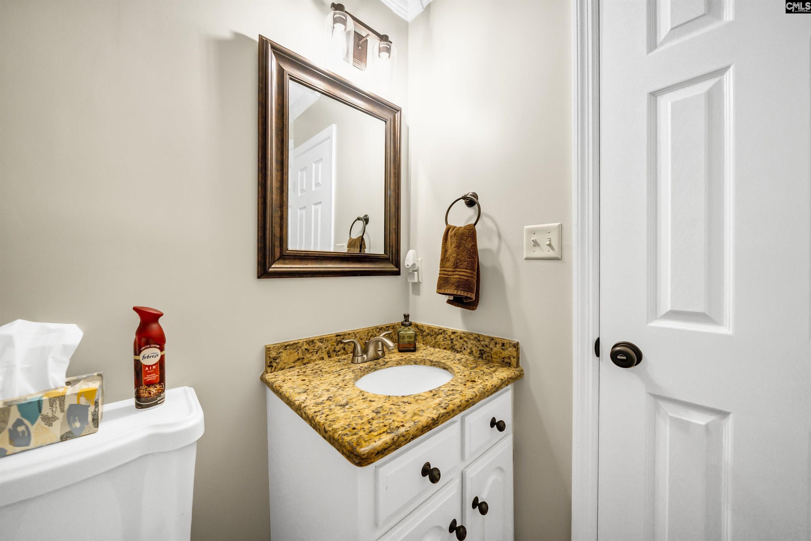 132 Platinum Drive Lexington, SC 29072