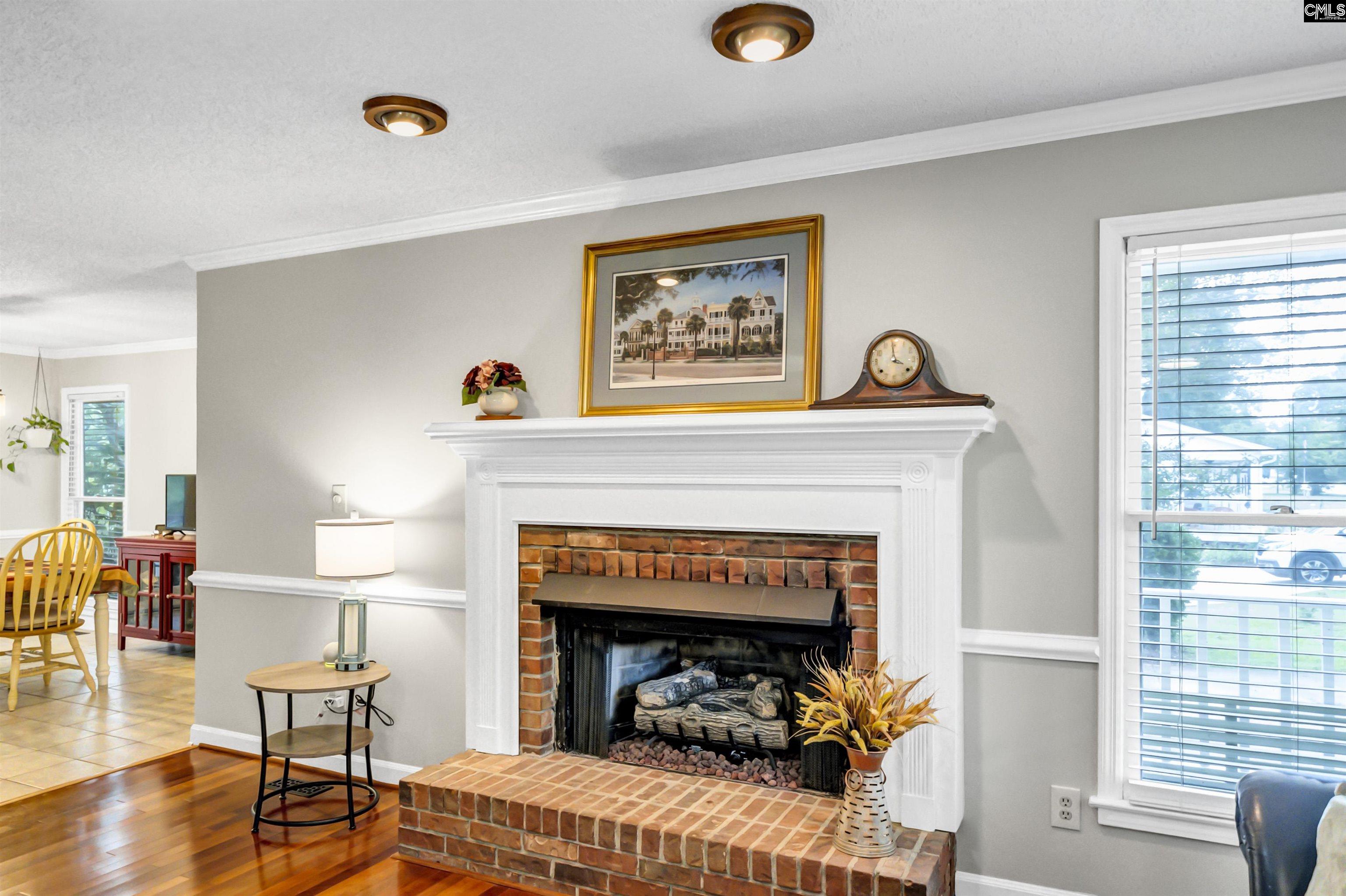132 Platinum Drive Lexington, SC 29072