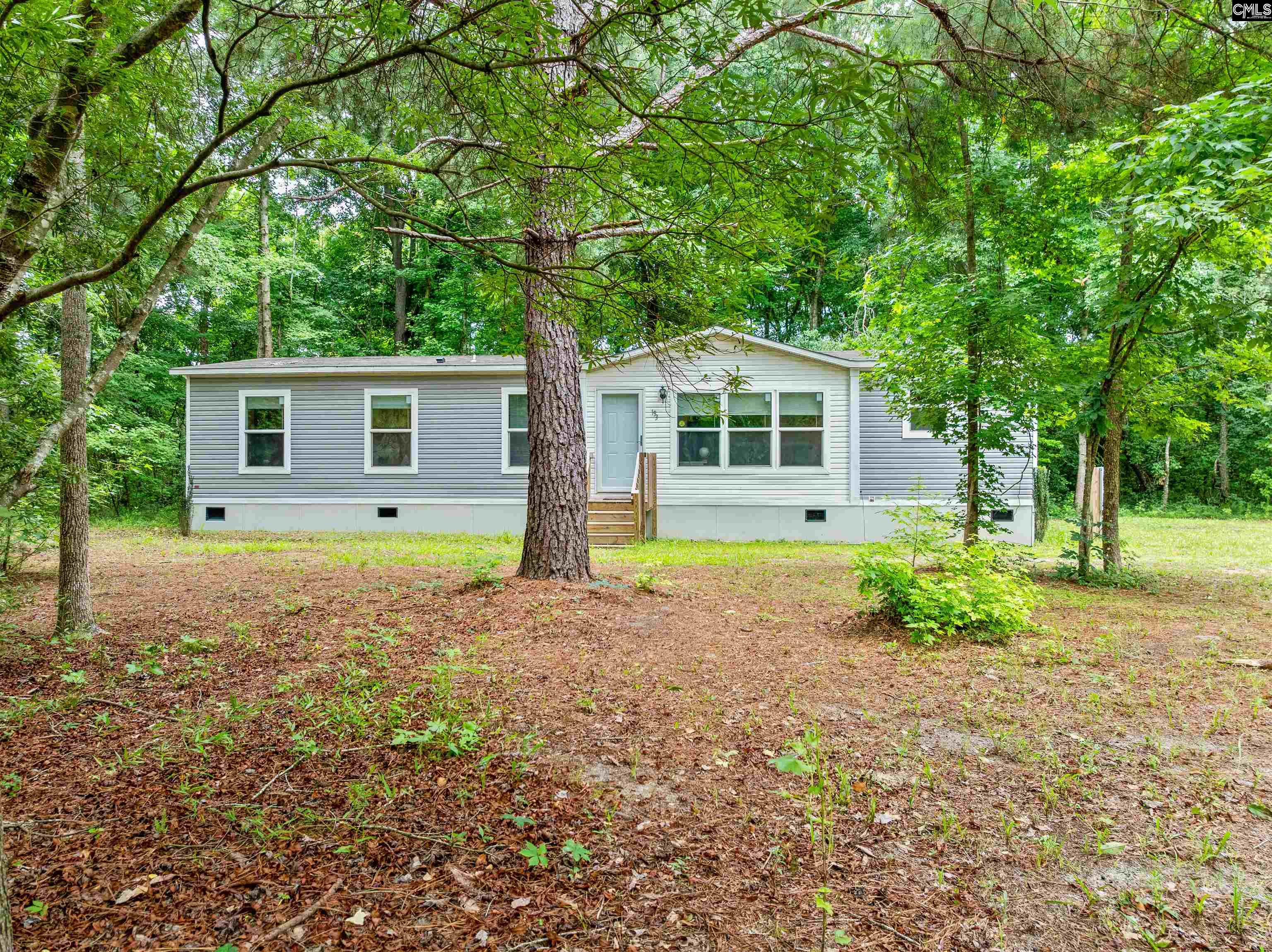193 Mott Drive Cope, SC 29038