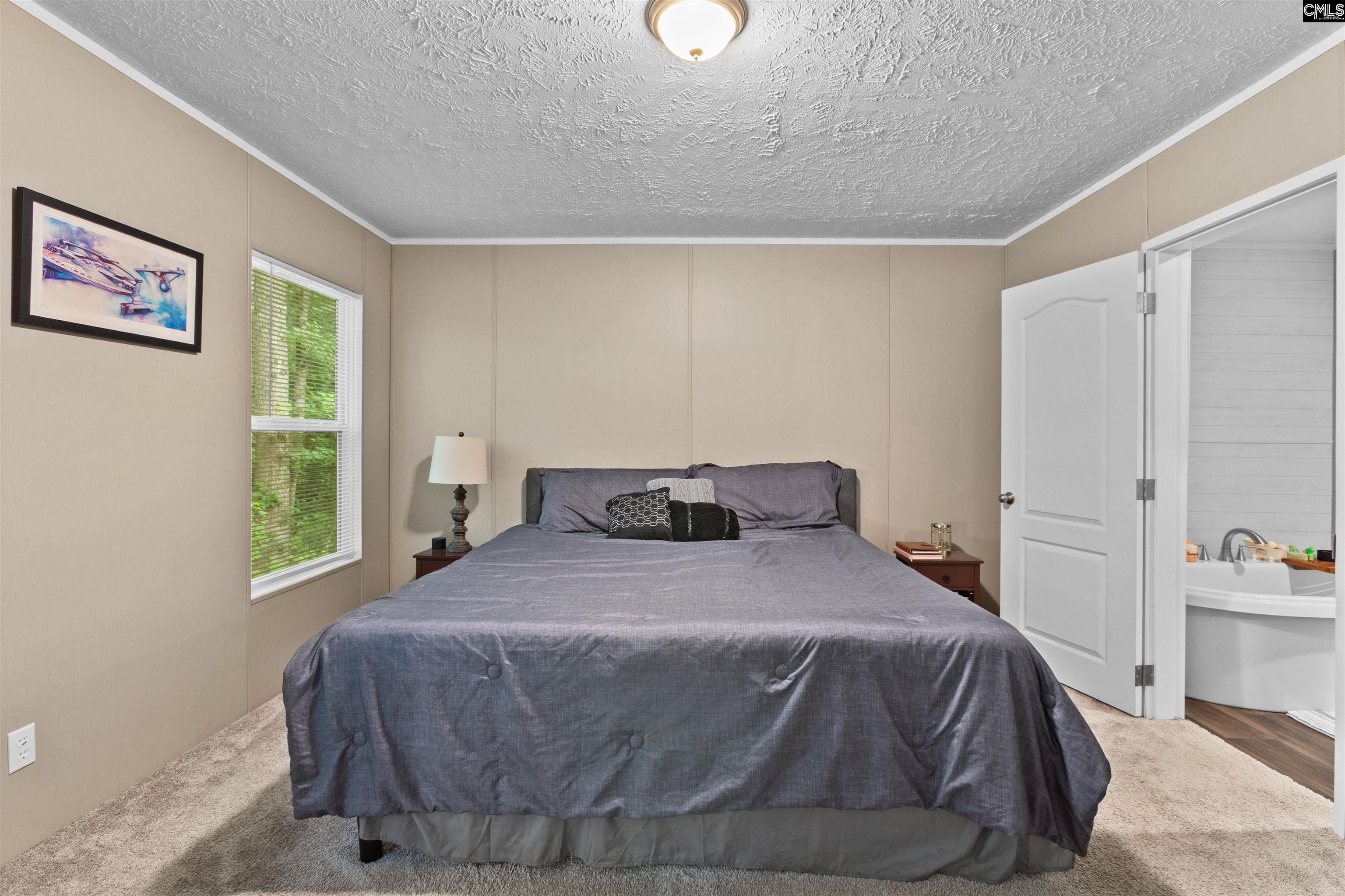 193 Mott Drive Cope, SC 29038