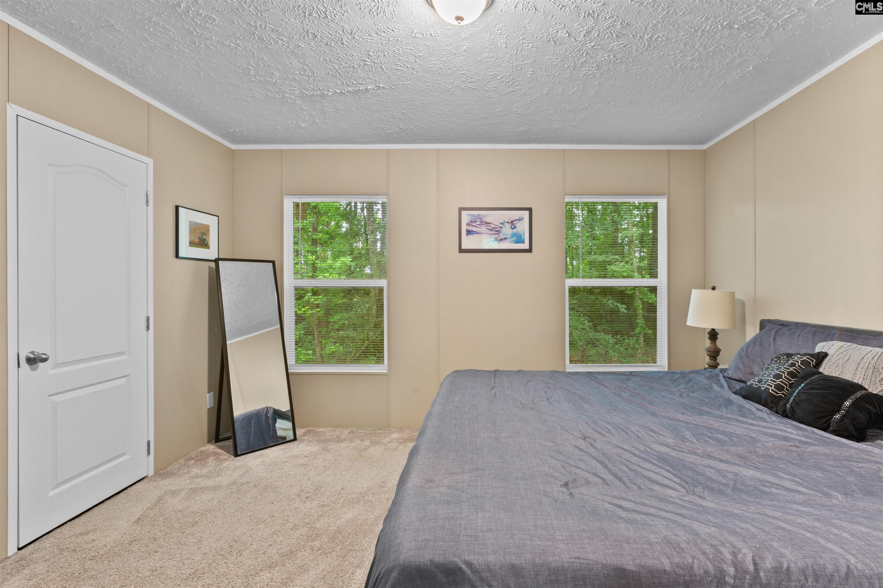 193 Mott Drive Cope, SC 29038