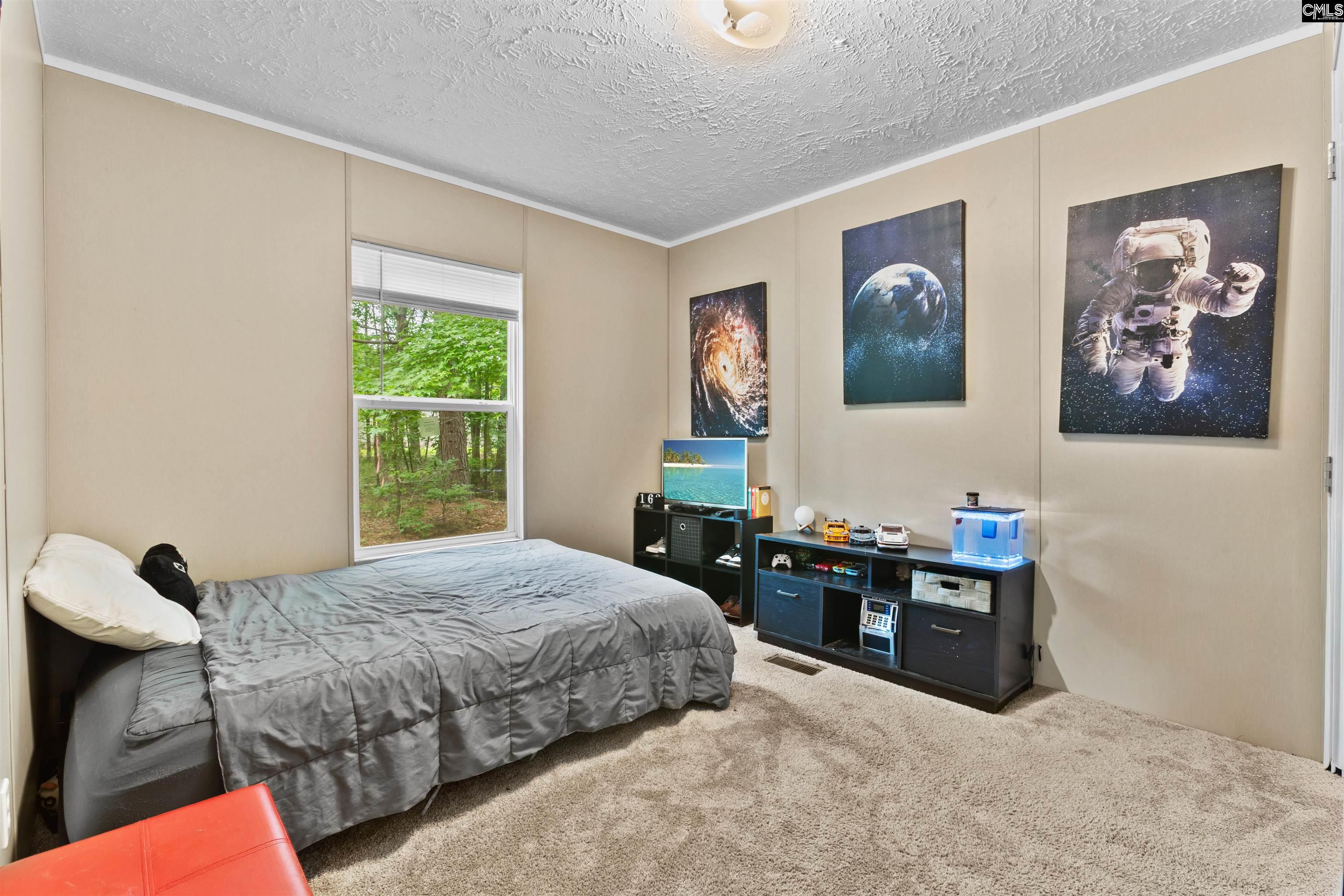 193 Mott Drive Cope, SC 29038