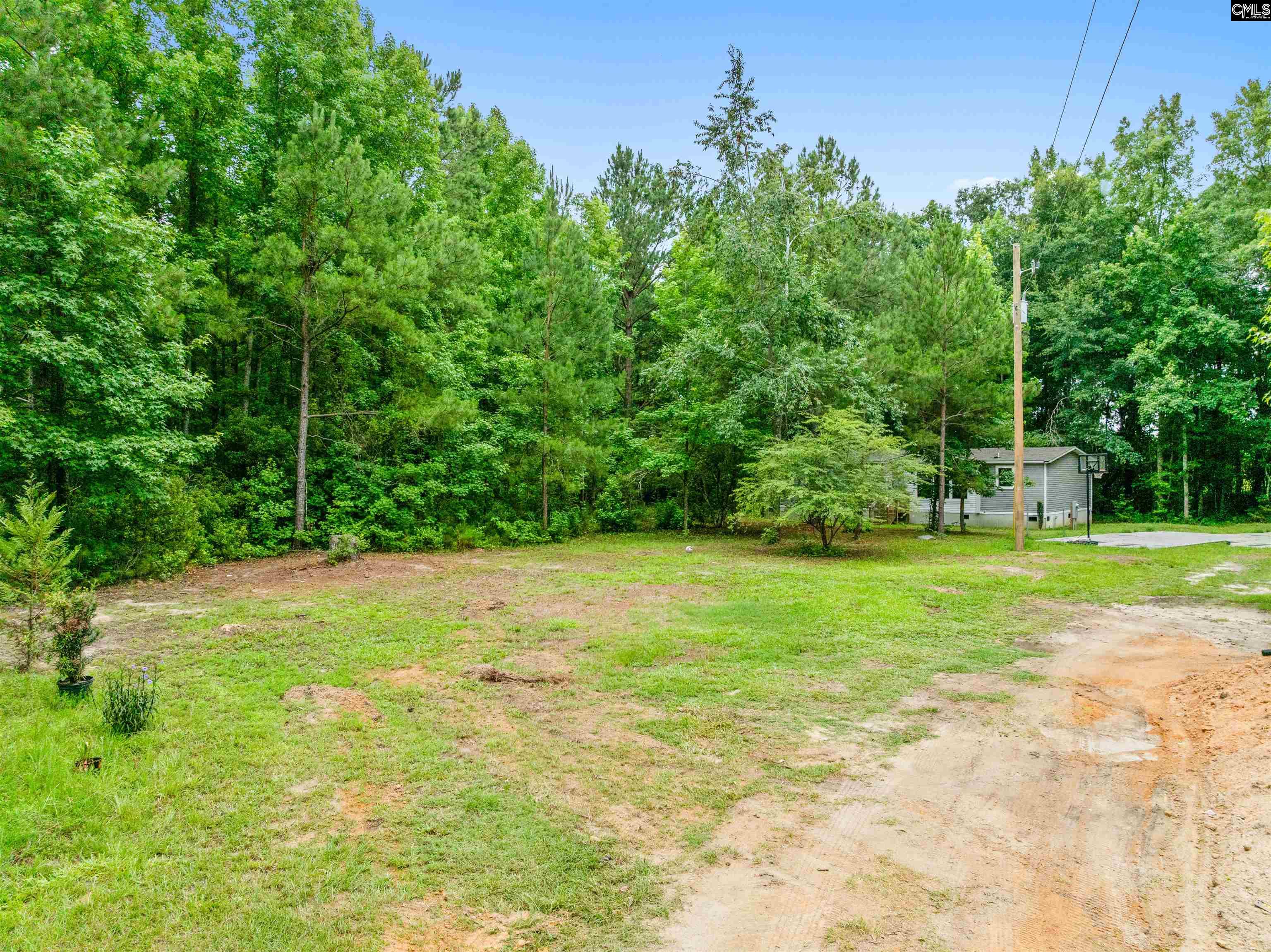 193 Mott Drive Cope, SC 29038