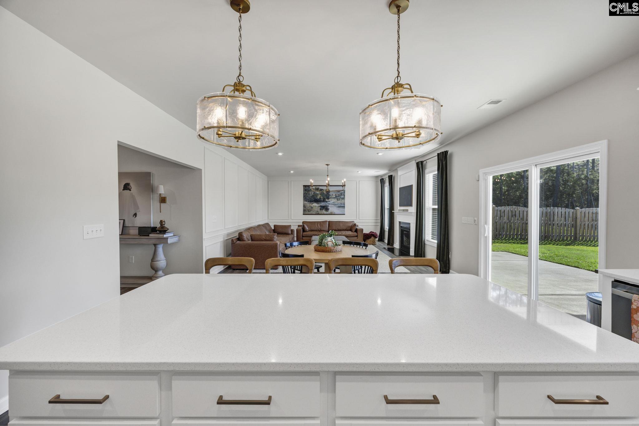 209 Chapin Place Way Chapin, SC 29036-9999