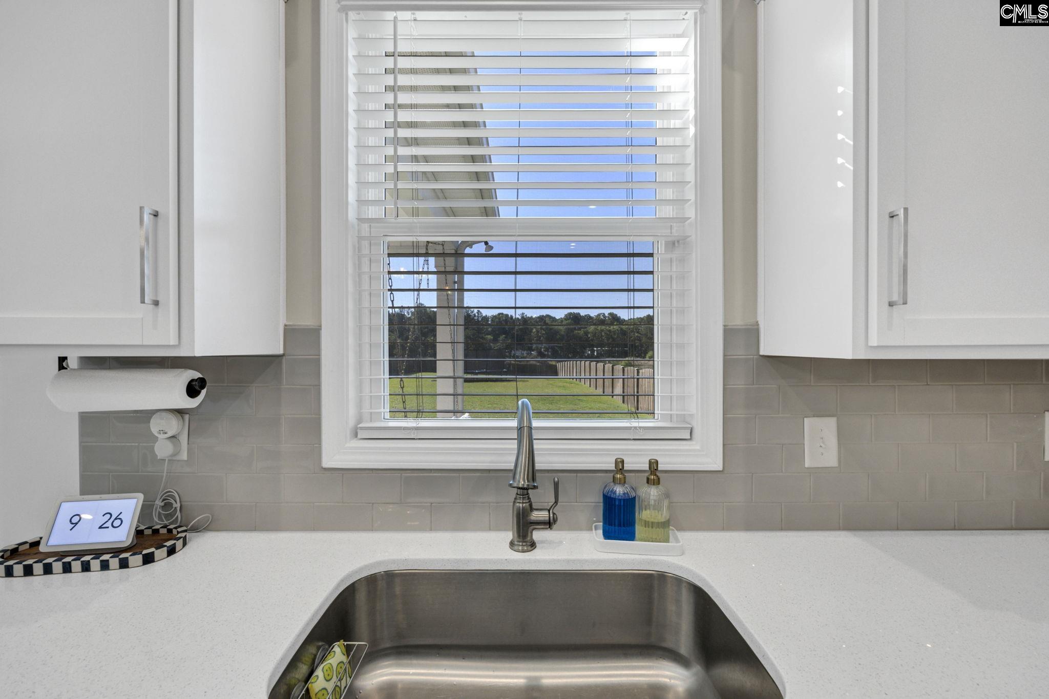 209 Chapin Place Way Chapin, SC 29036-9999