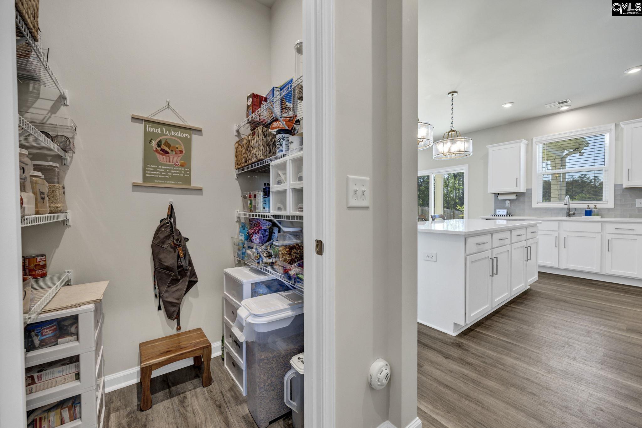 209 Chapin Place Way Chapin, SC 29036-9999