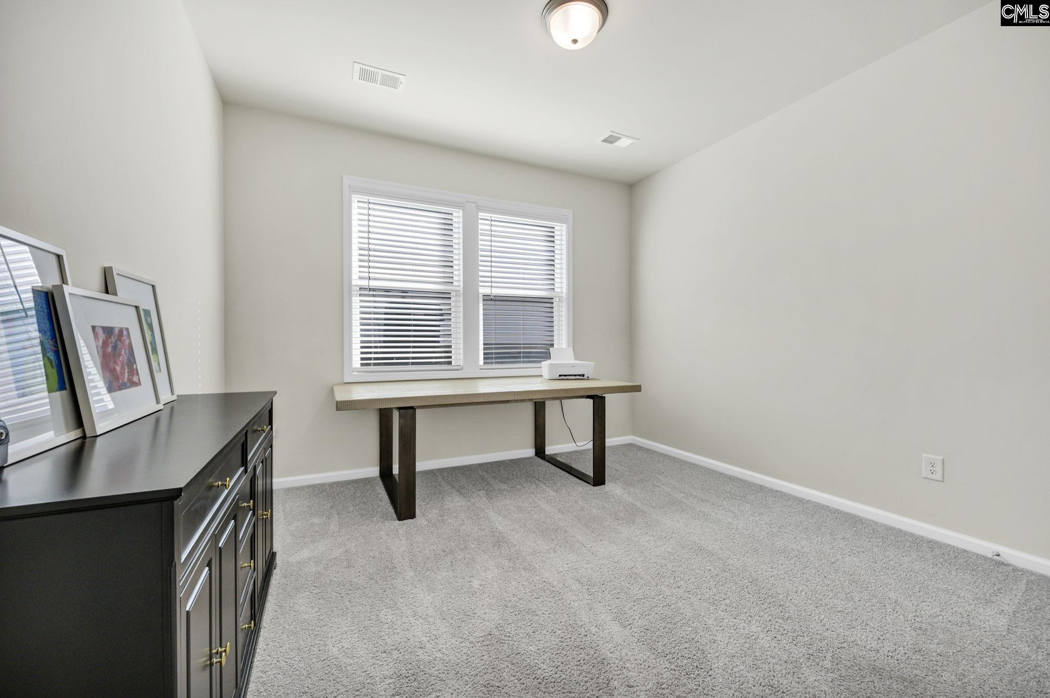 209 Chapin Place Way Chapin, SC 29036-9999