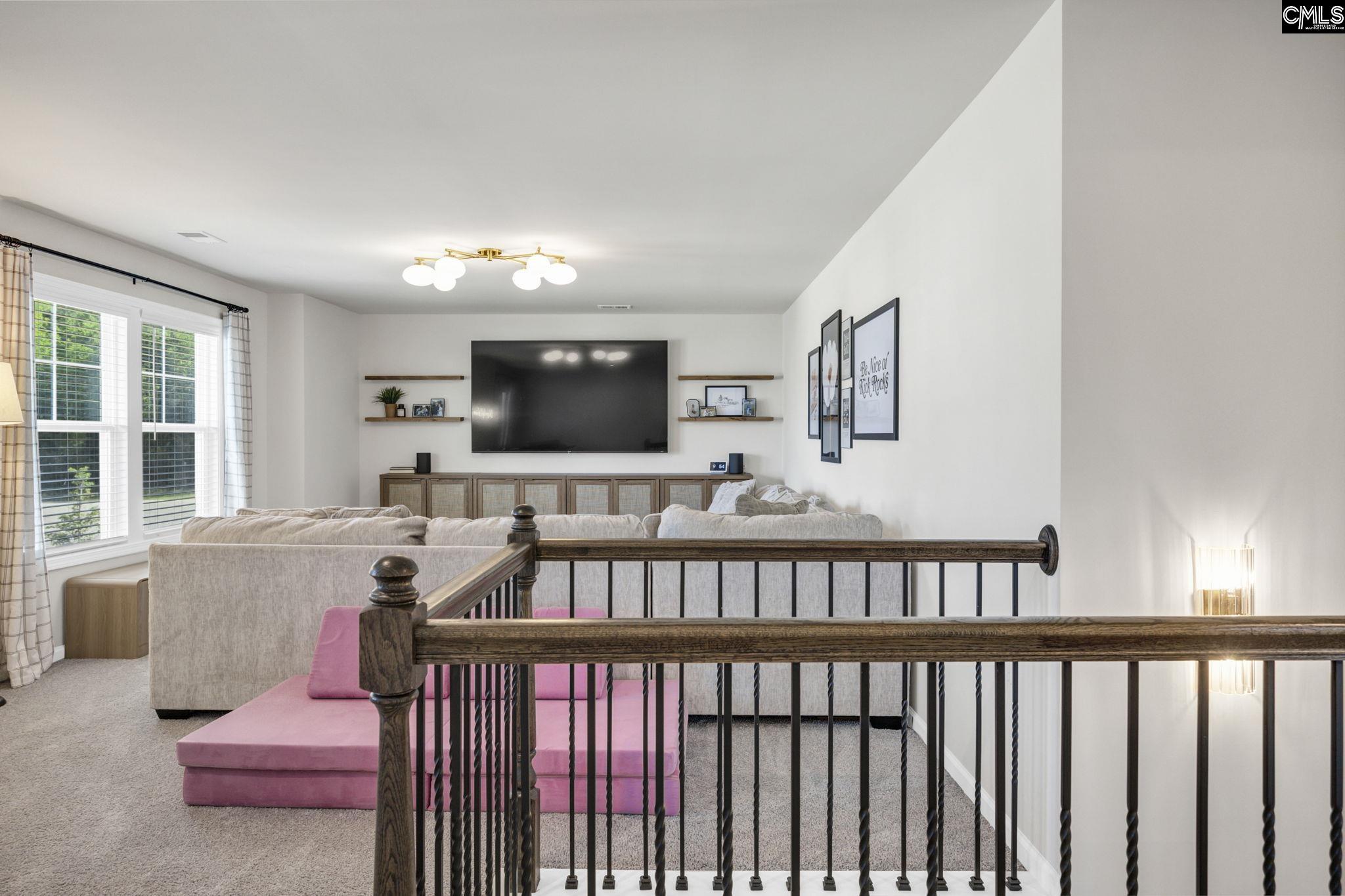 209 Chapin Place Way Chapin, SC 29036-9999