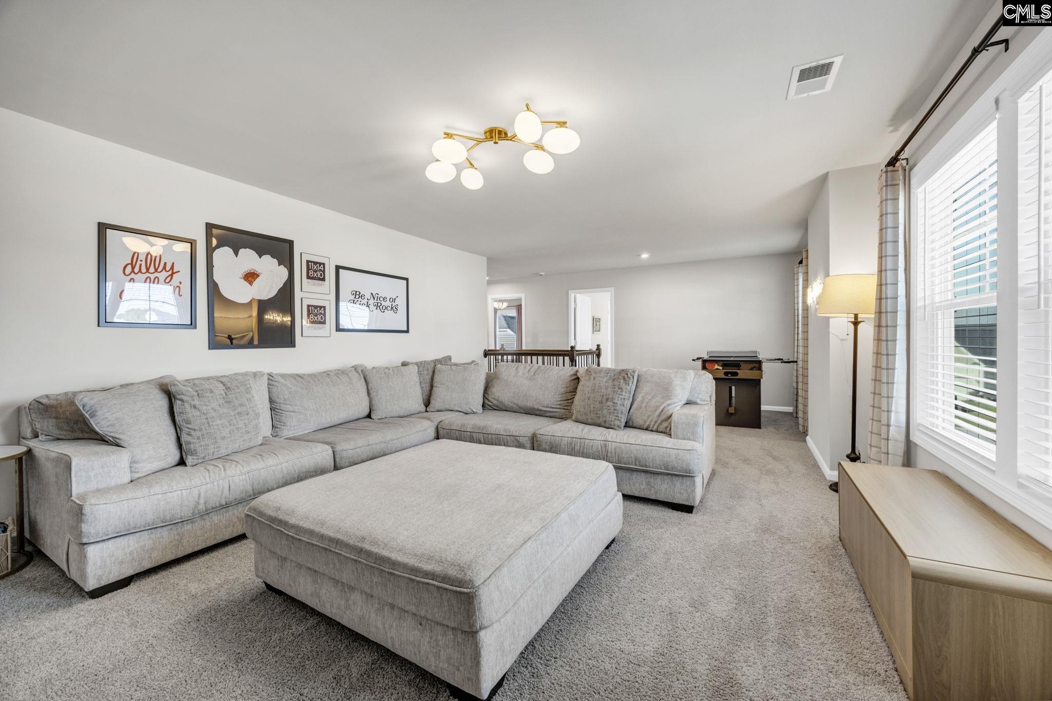 209 Chapin Place Way Chapin, SC 29036-9999