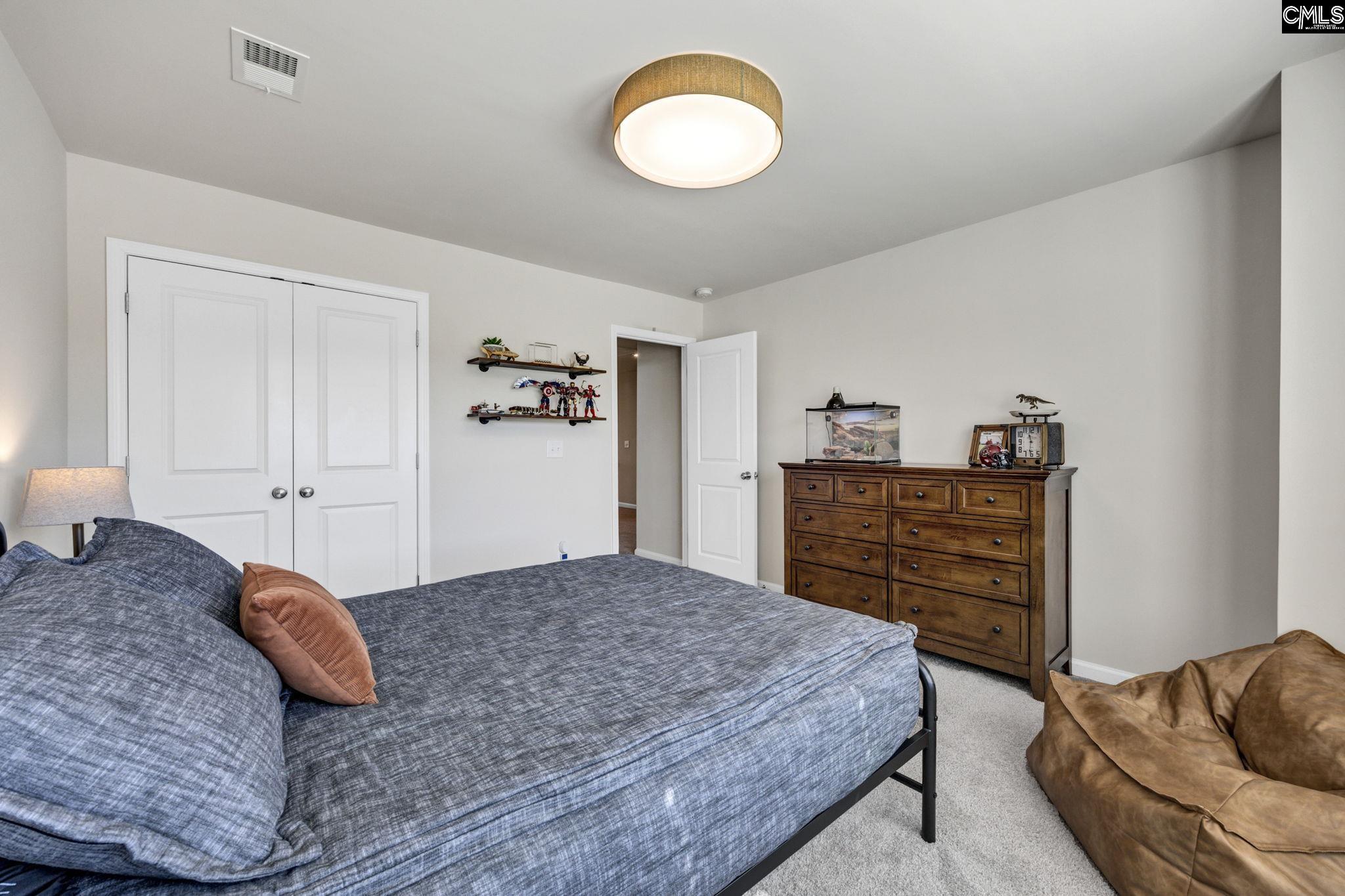 209 Chapin Place Way Chapin, SC 29036-9999