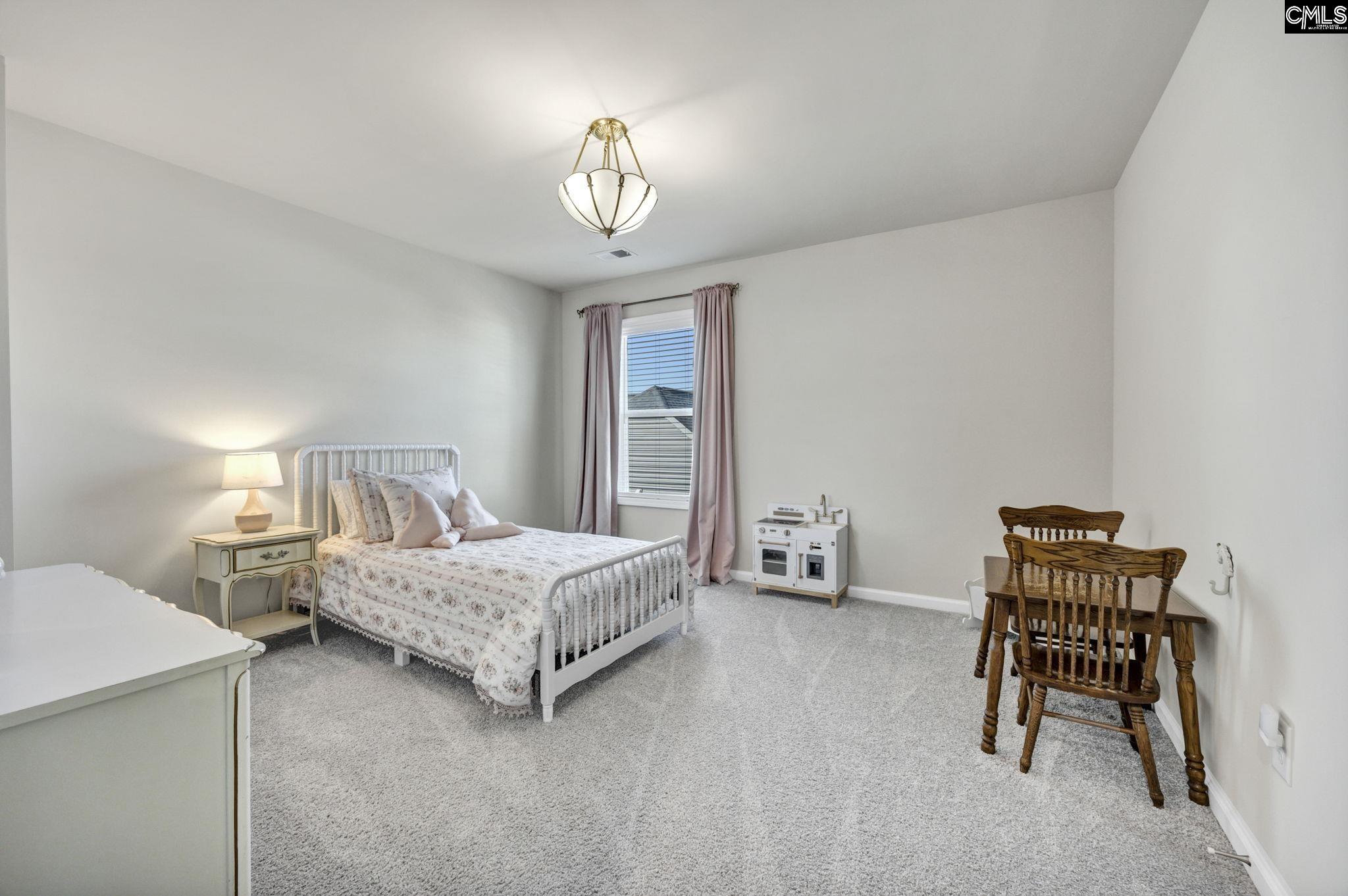 209 Chapin Place Way Chapin, SC 29036-9999
