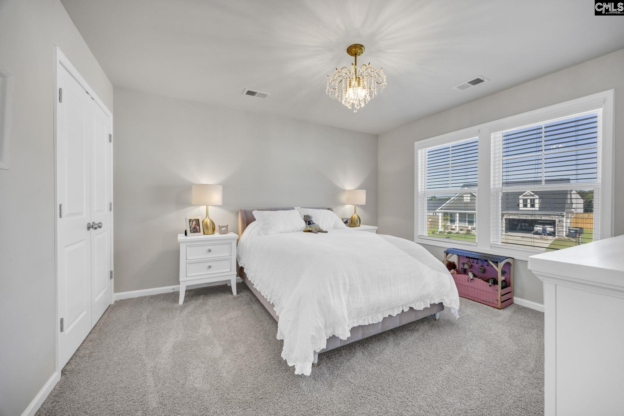 209 Chapin Place Way Chapin, SC 29036-9999