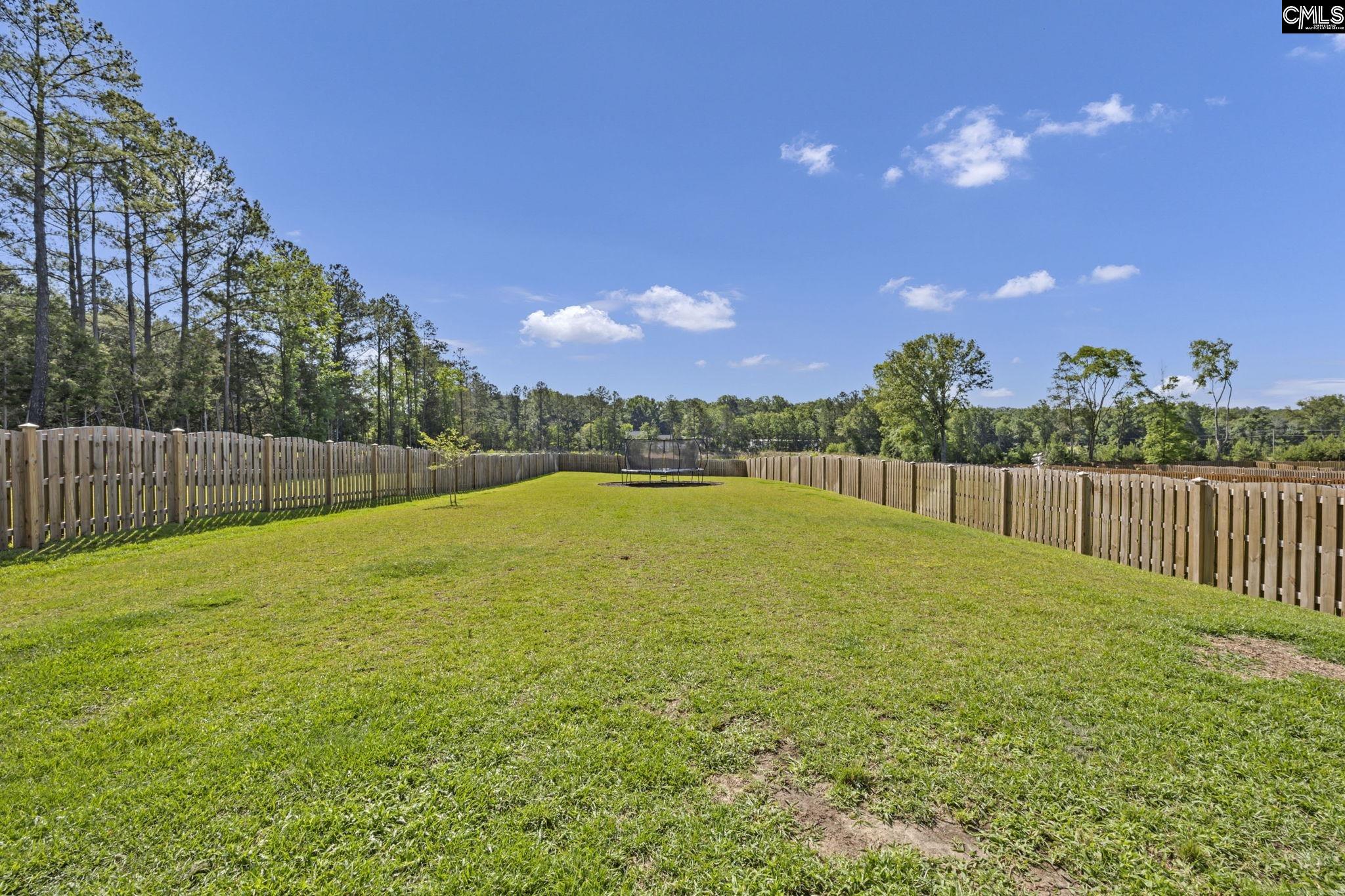 209 Chapin Place Way Chapin, SC 29036-9999