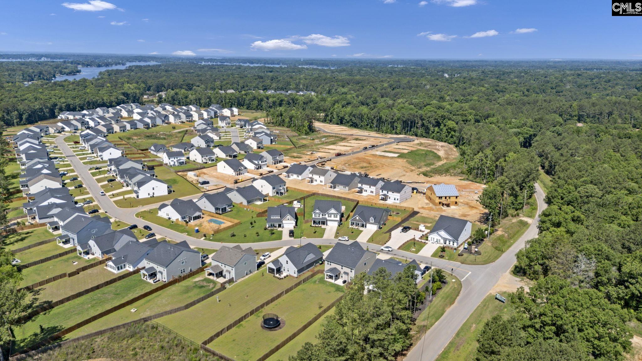 209 Chapin Place Way Chapin, SC 29036-9999