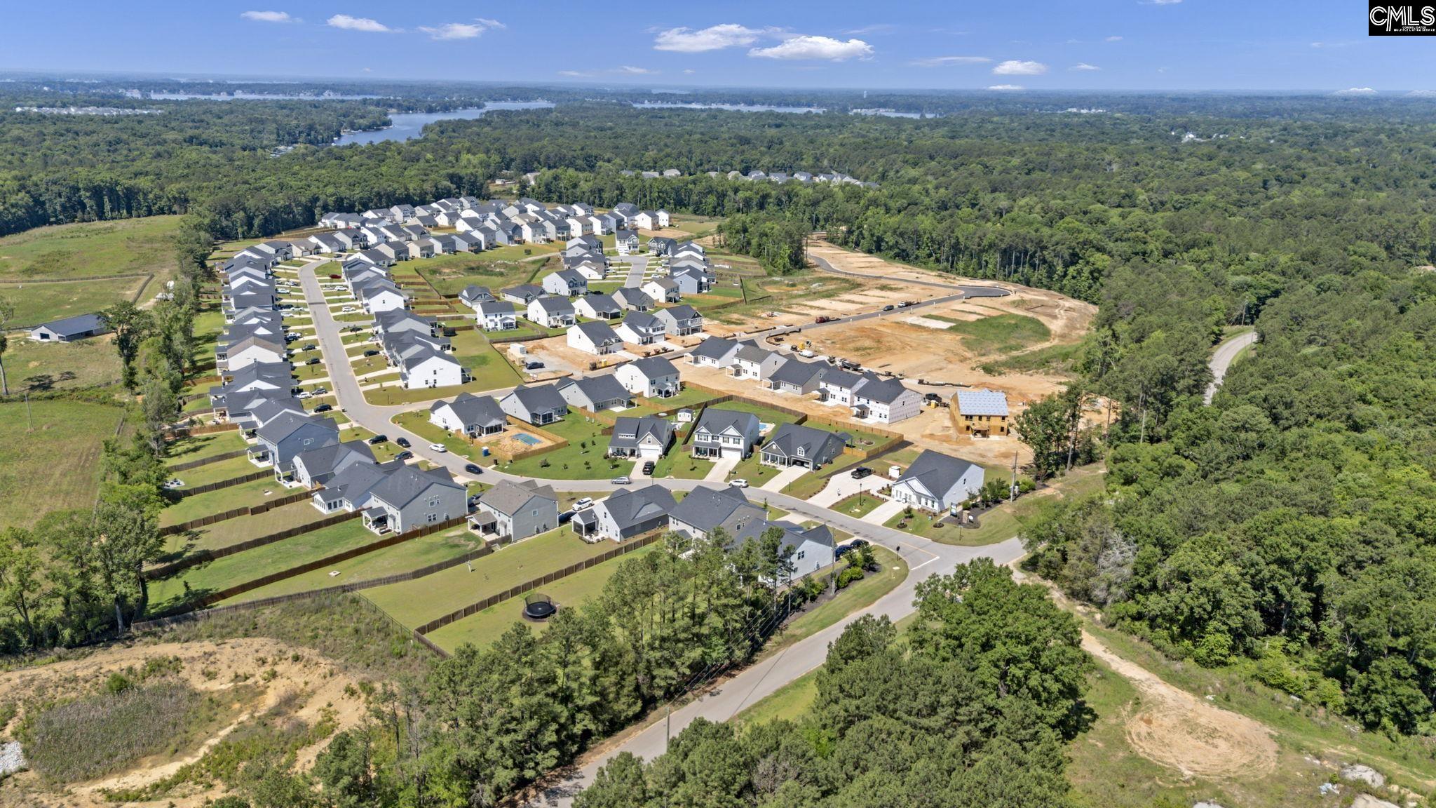 209 Chapin Place Way Chapin, SC 29036-9999