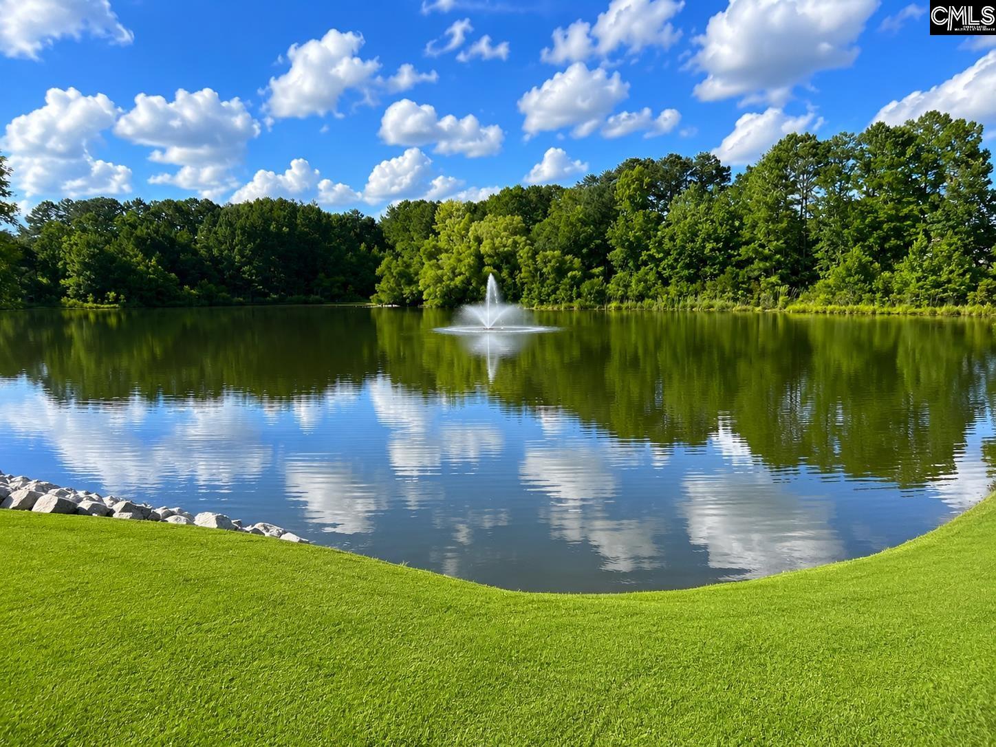 190 Ashewood Lake Drive Columbia, SC 29209