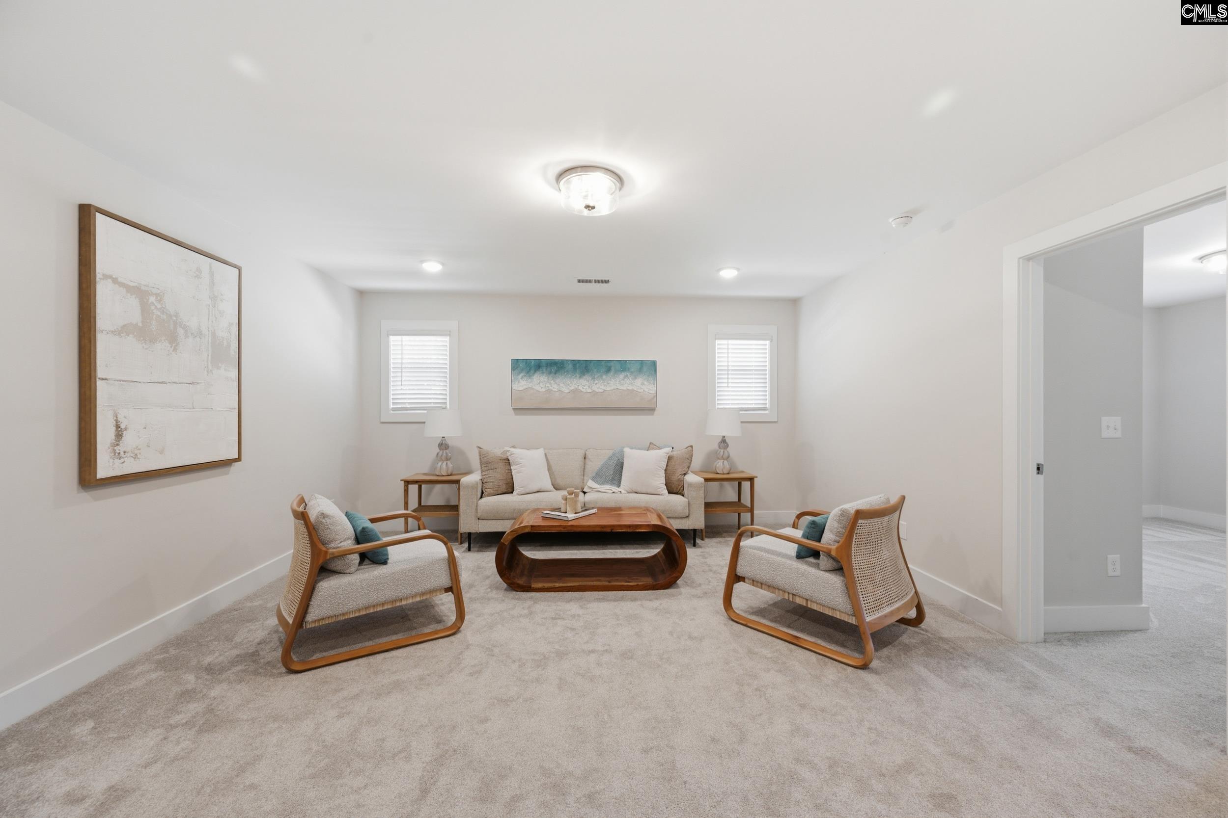 133 Collins Cove Drive Chapin, SC 29036