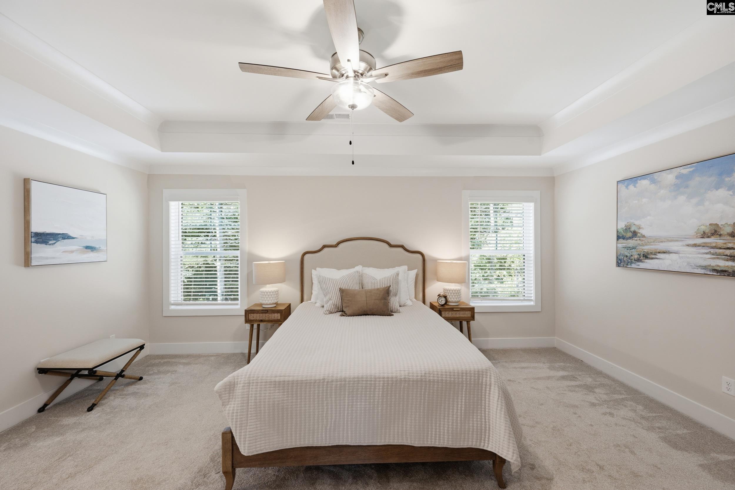 133 Collins Cove Drive Chapin, SC 29036