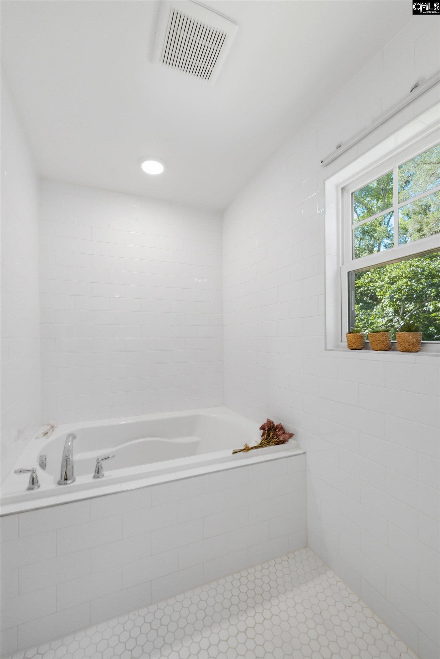 133 Collins Cove Drive Chapin, SC 29036