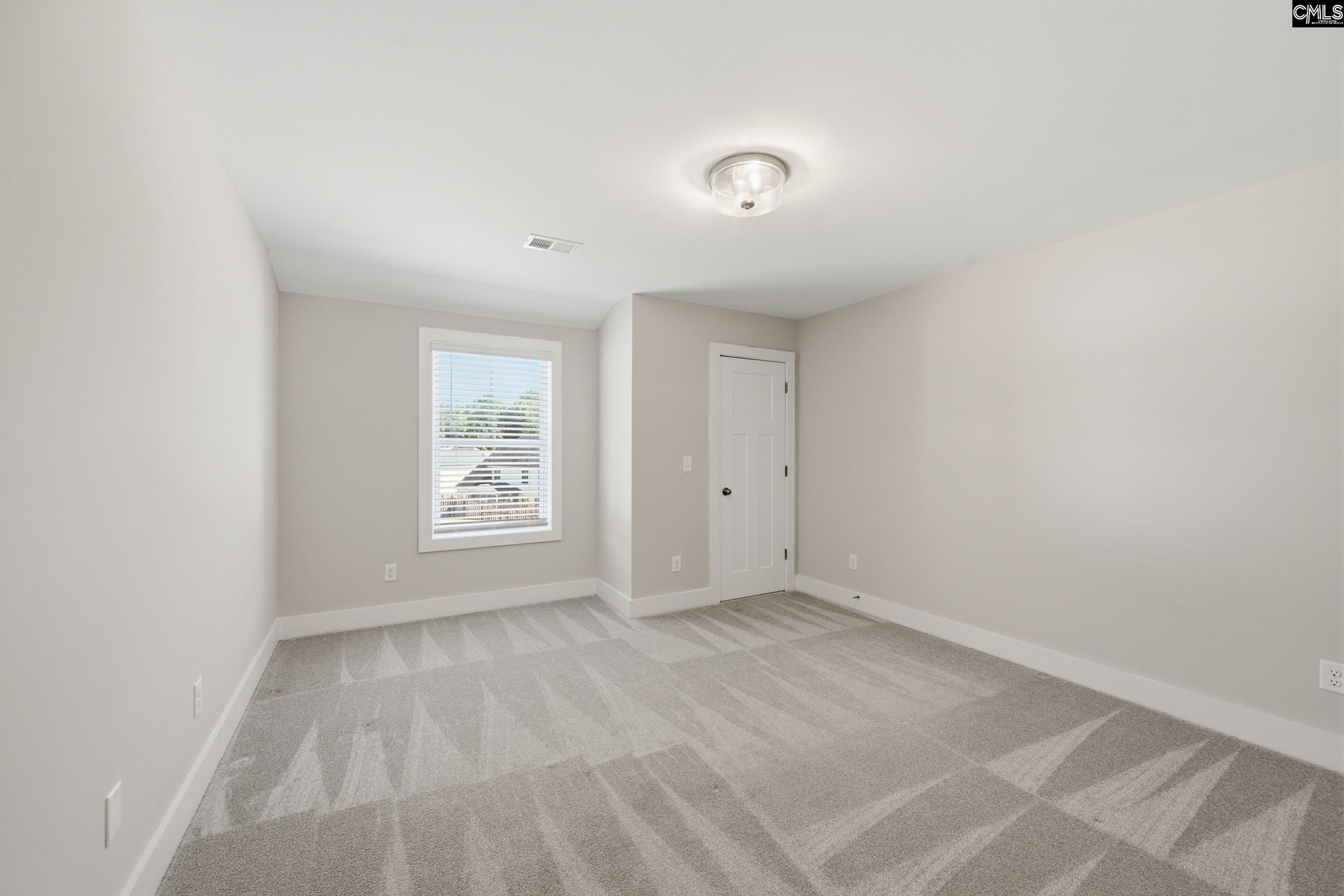 133 Collins Cove Drive Chapin, SC 29036
