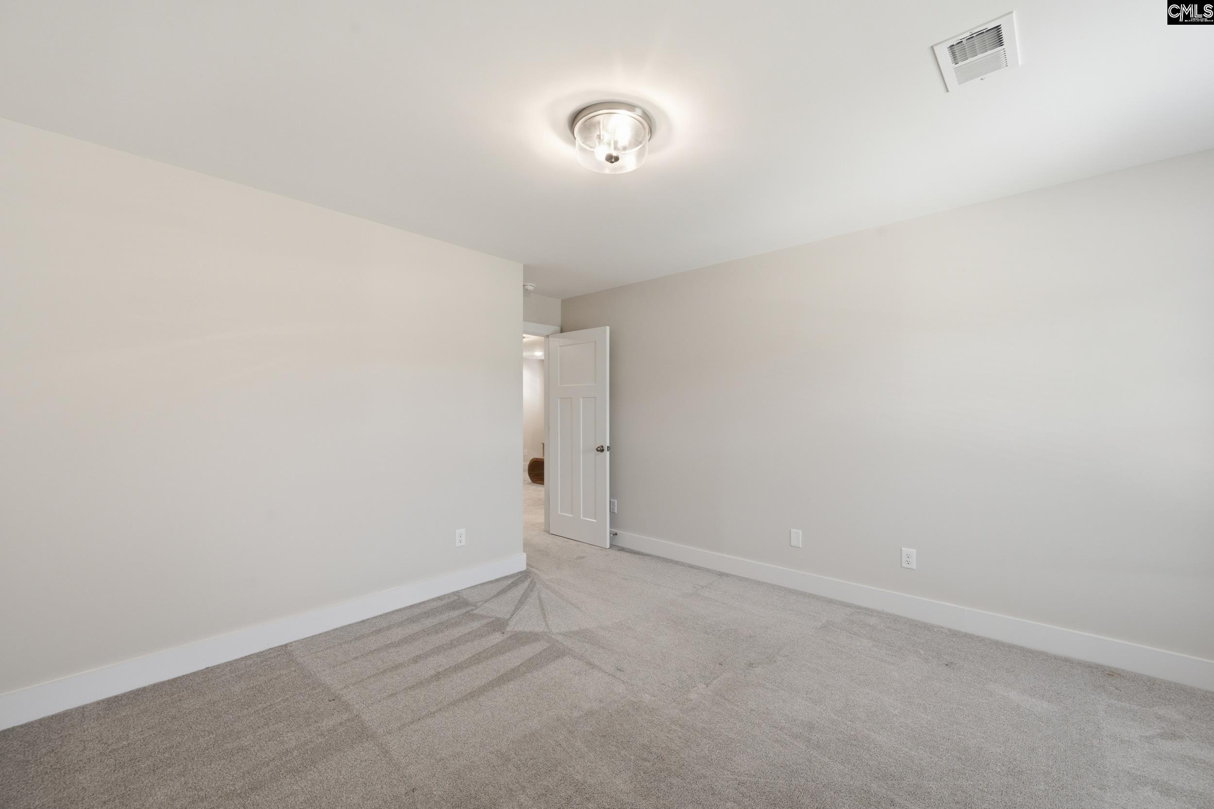 133 Collins Cove Drive Chapin, SC 29036