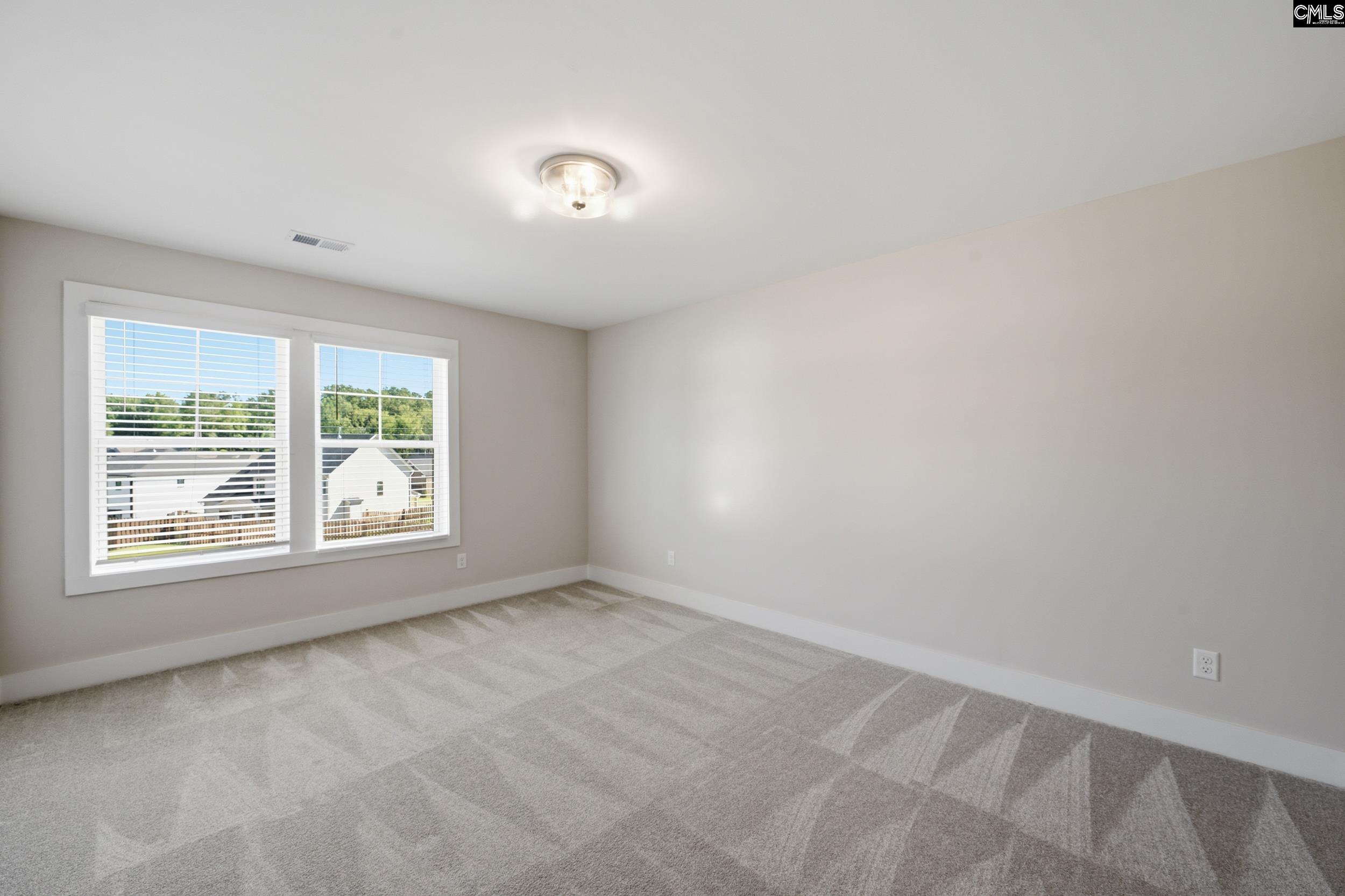 133 Collins Cove Drive Chapin, SC 29036