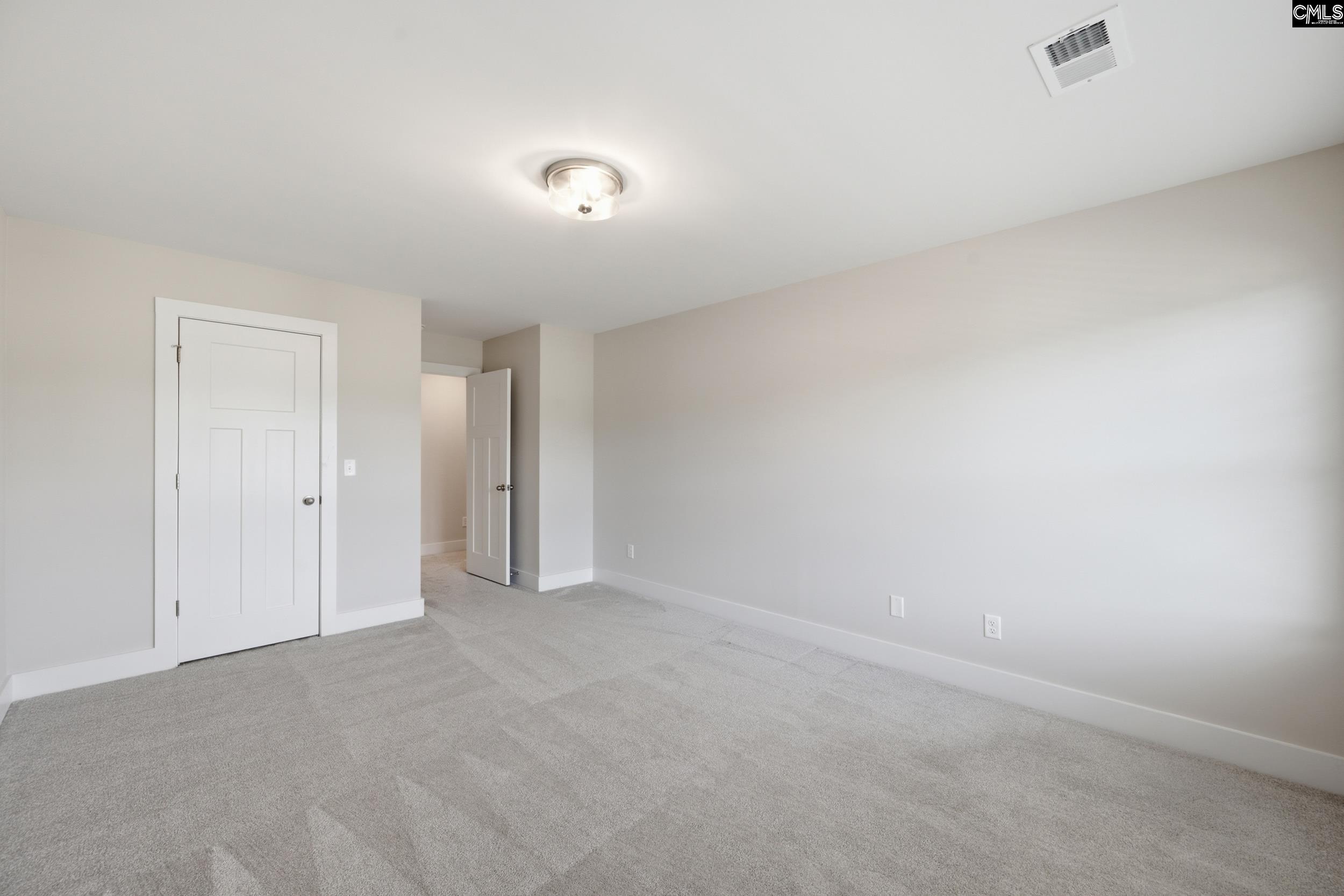 133 Collins Cove Drive Chapin, SC 29036