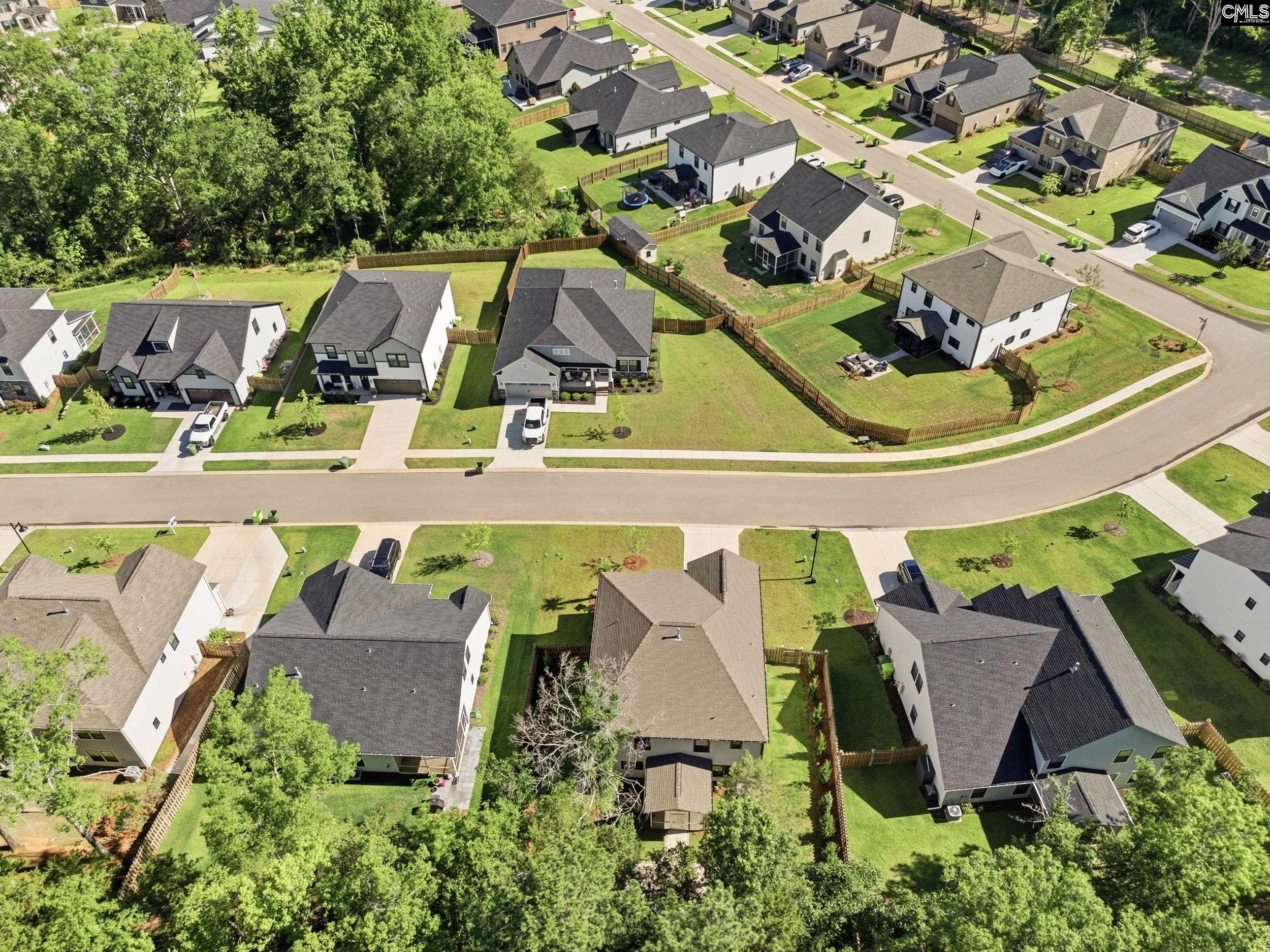 133 Collins Cove Drive Chapin, SC 29036