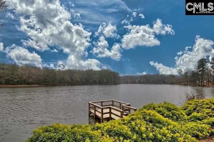 112 Garden Gate Way Lexington, SC 29072