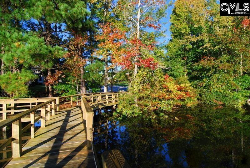 103 Cabot Bay Drive Chapin, SC 29036