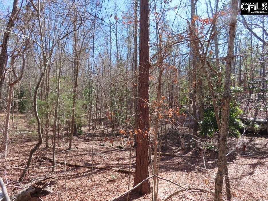Rion Road Winnsboro, SC 29180