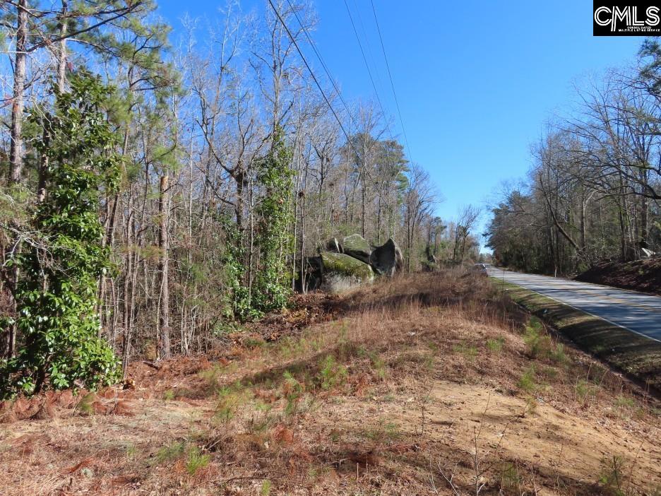 Rion Road Winnsboro, SC 29180