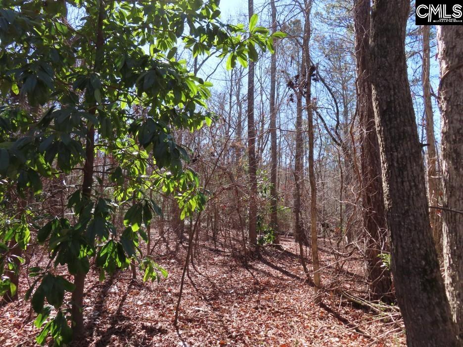 Rion Road Winnsboro, SC 29180
