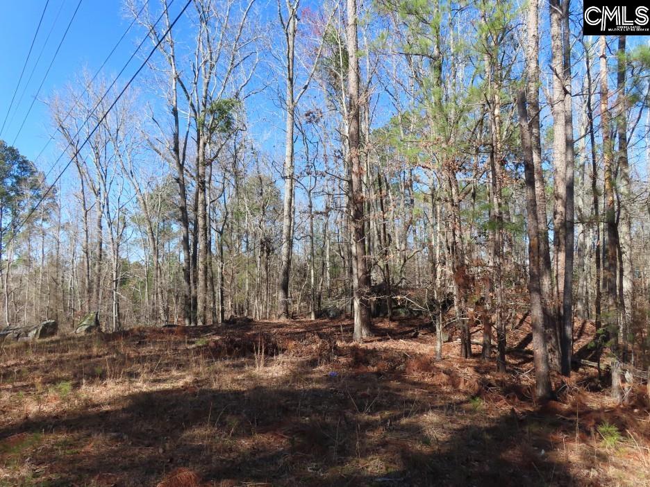 Rion Road Winnsboro, SC 29180