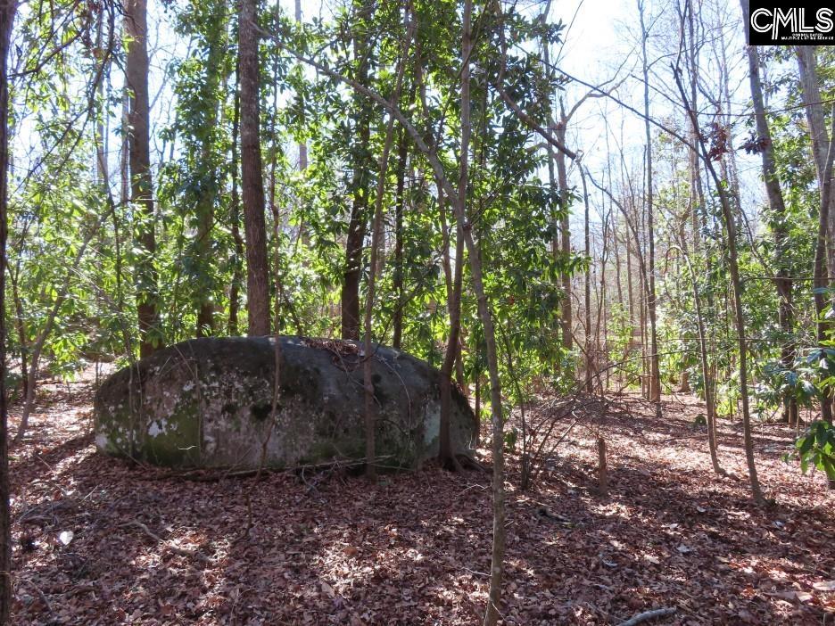 Rion Road Winnsboro, SC 29180