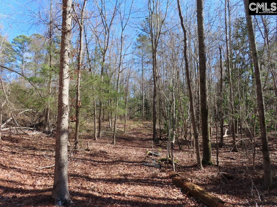 Rion Road Winnsboro, SC 29180