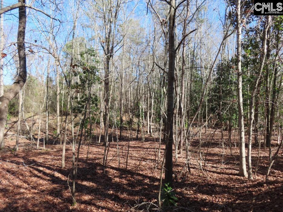 Rion Road Winnsboro, SC 29180