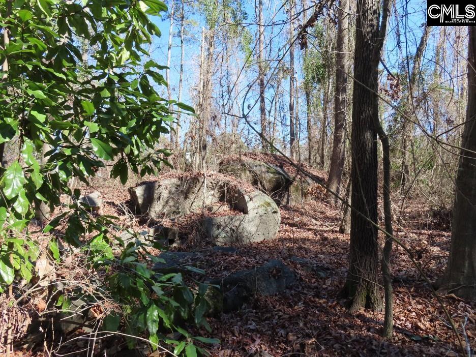 Rion Road Winnsboro, SC 29180